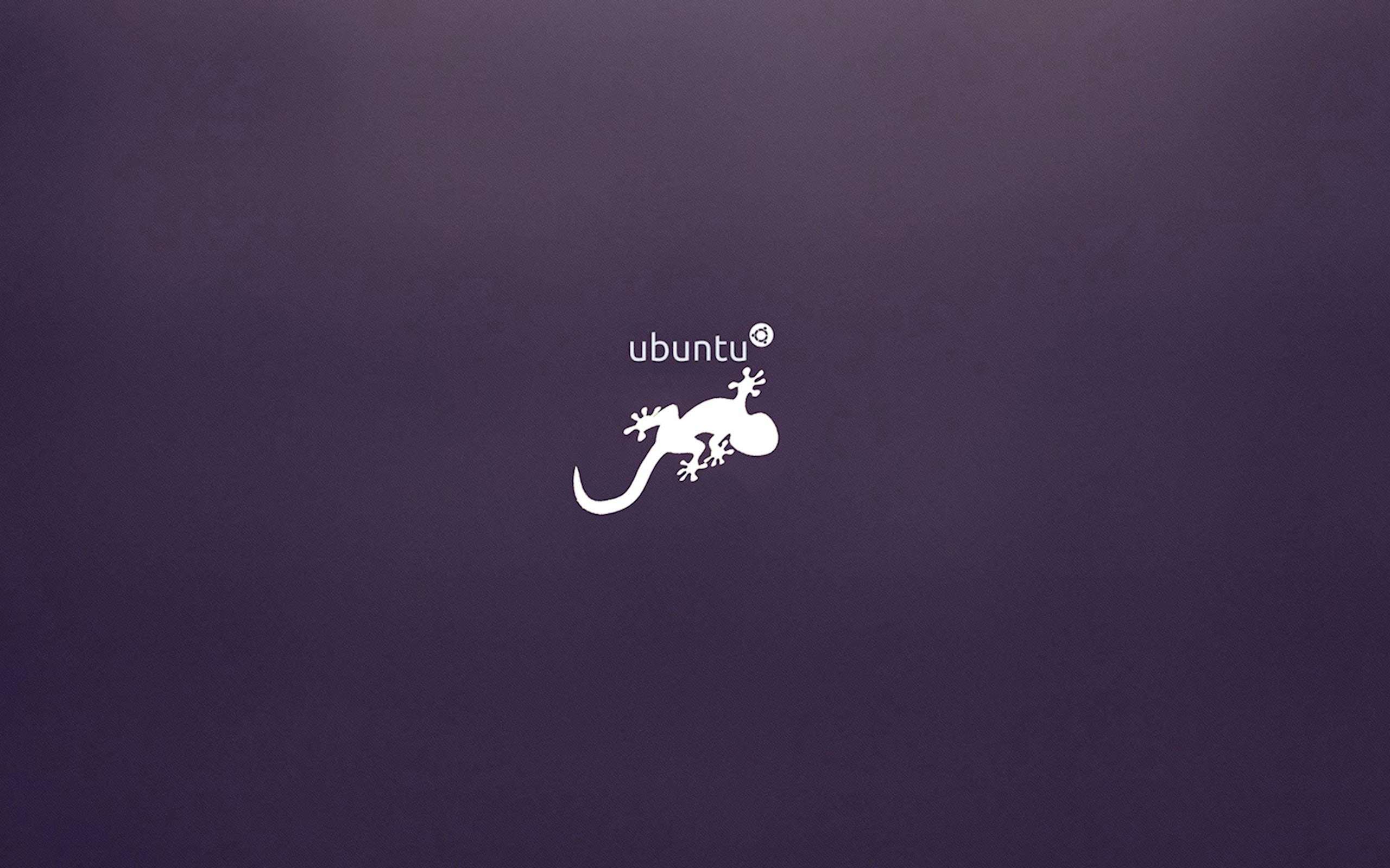 2560x1600 ubuntu 13.10 saucy salamander wallpapers ...