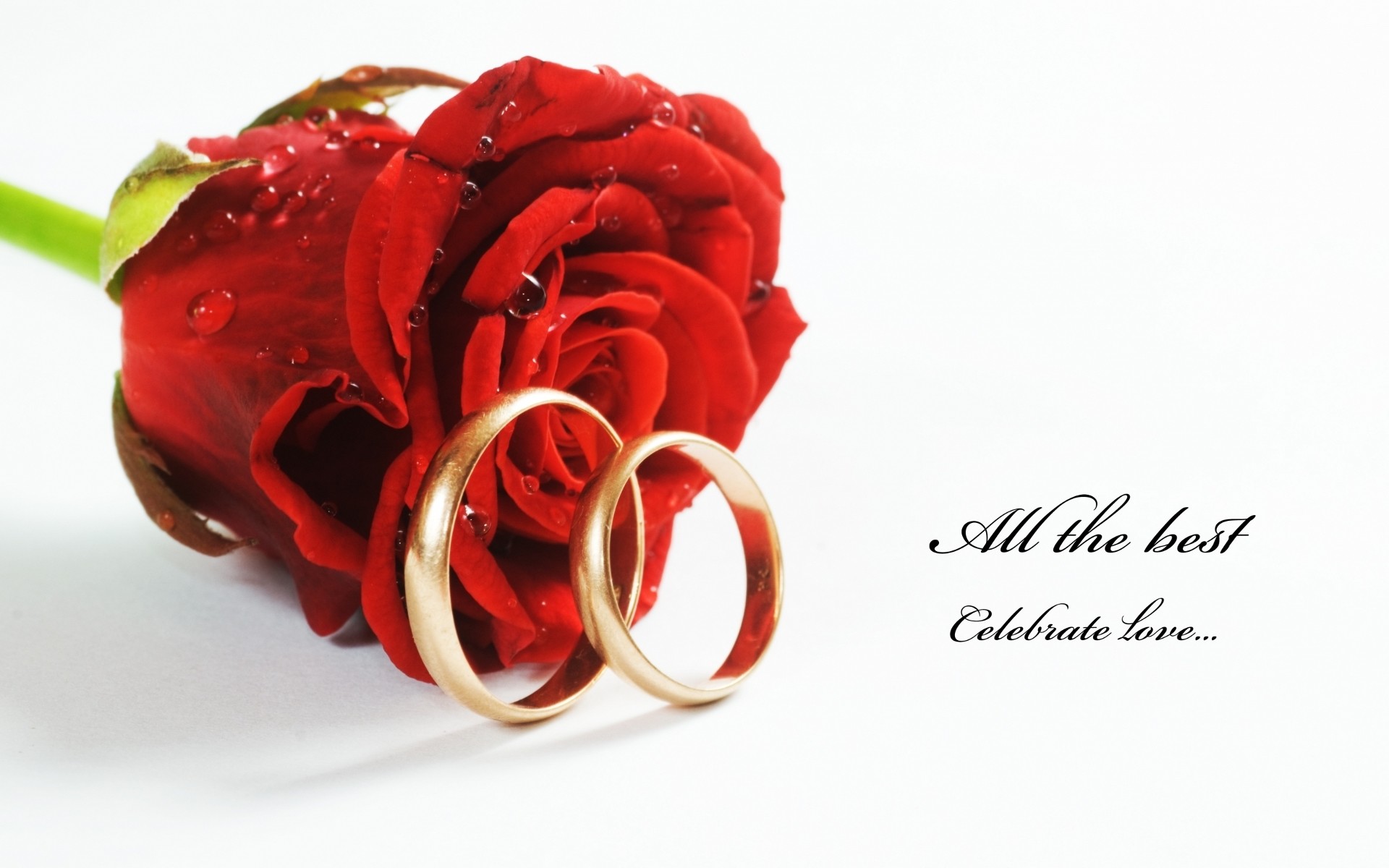 1920x1200 ... nice-red-roses-with-rings-hd-free-wallpapers ...