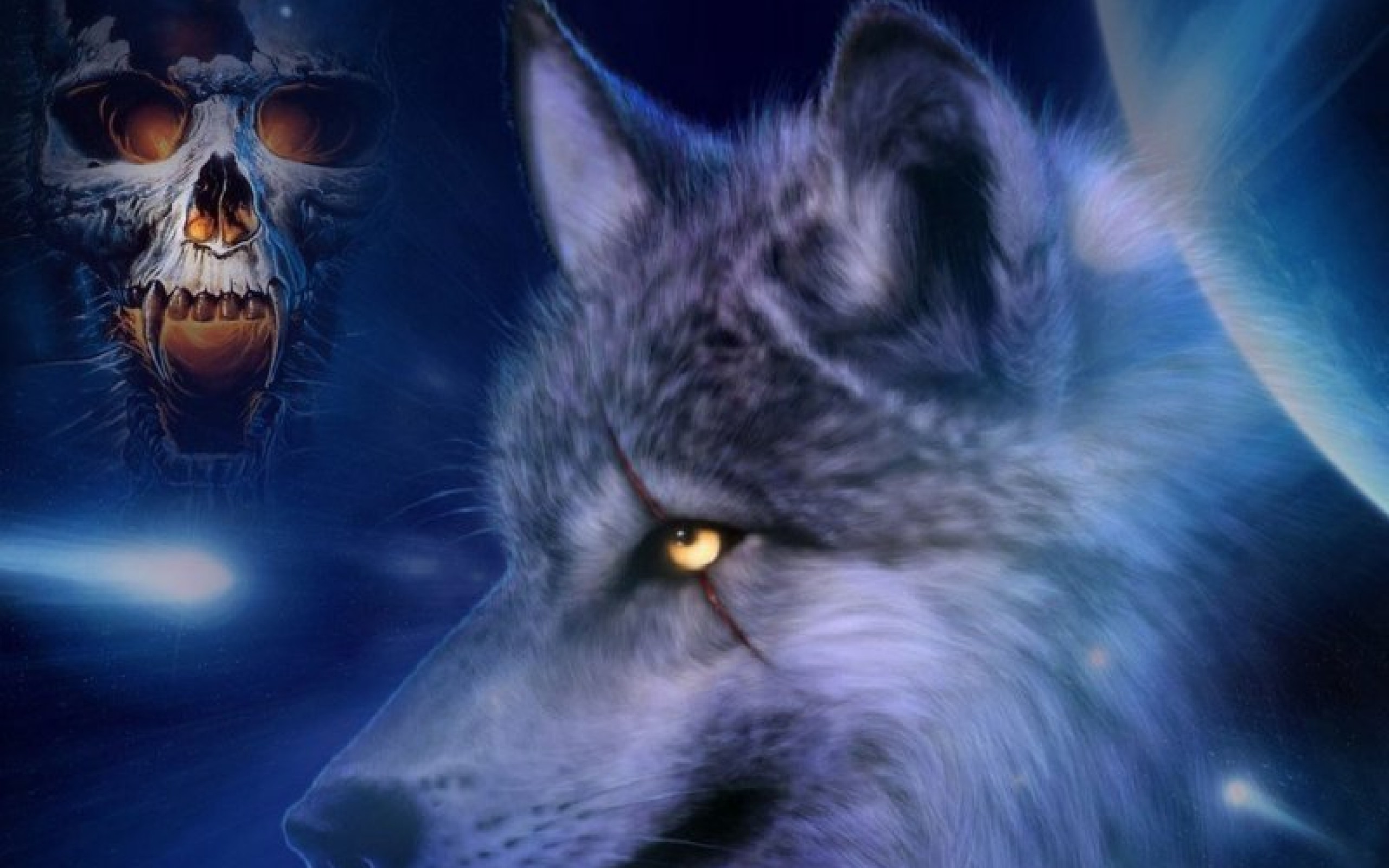 2560x1600 Desktop indian wolf pics wallpaper