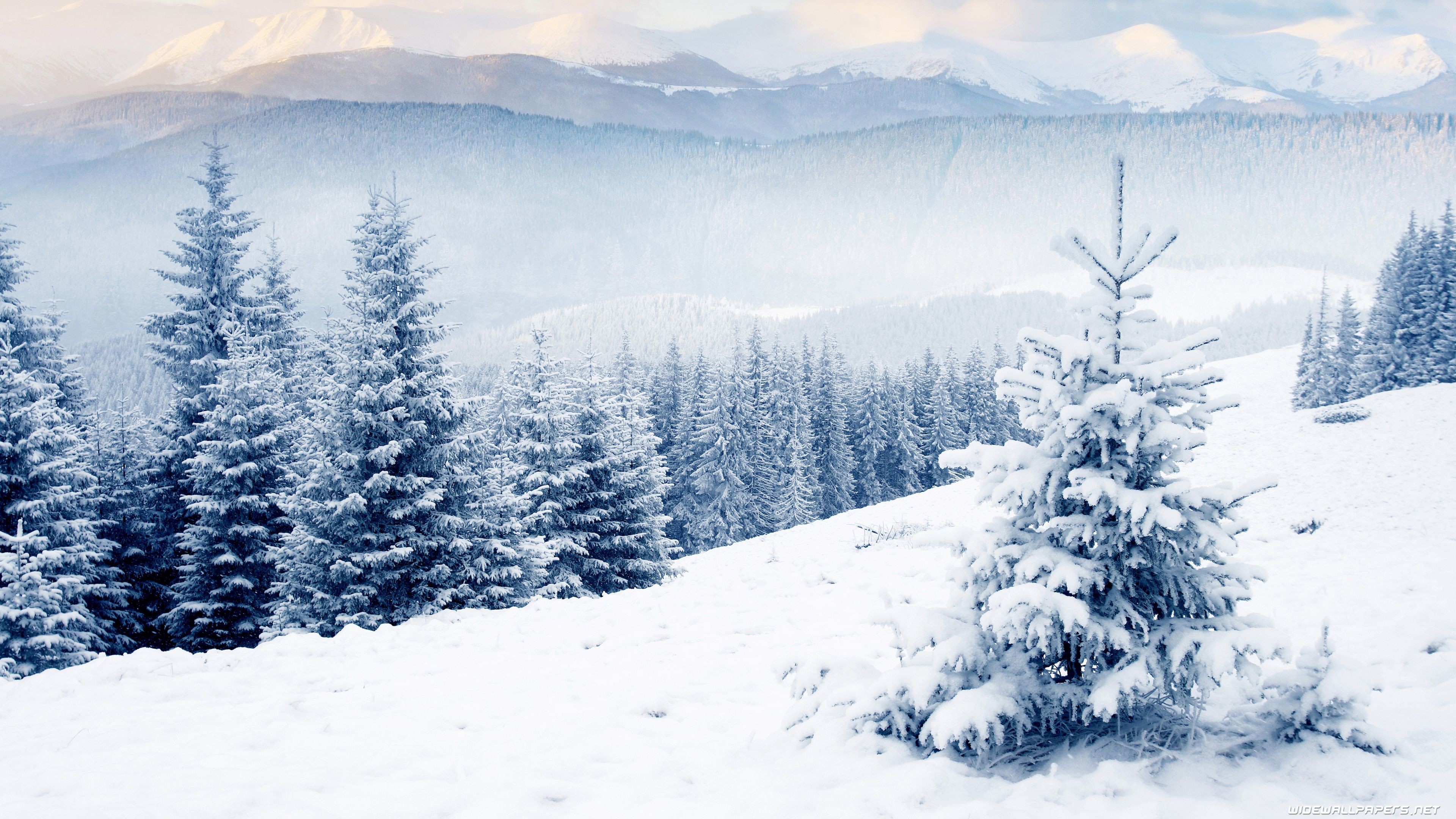 3840x2160  Winter desktop wallpapers 4K Ultra HD"> Â· Download Â· 1600x1000  Beautiful Winter Scenery HD Desktop Wallpaper ...