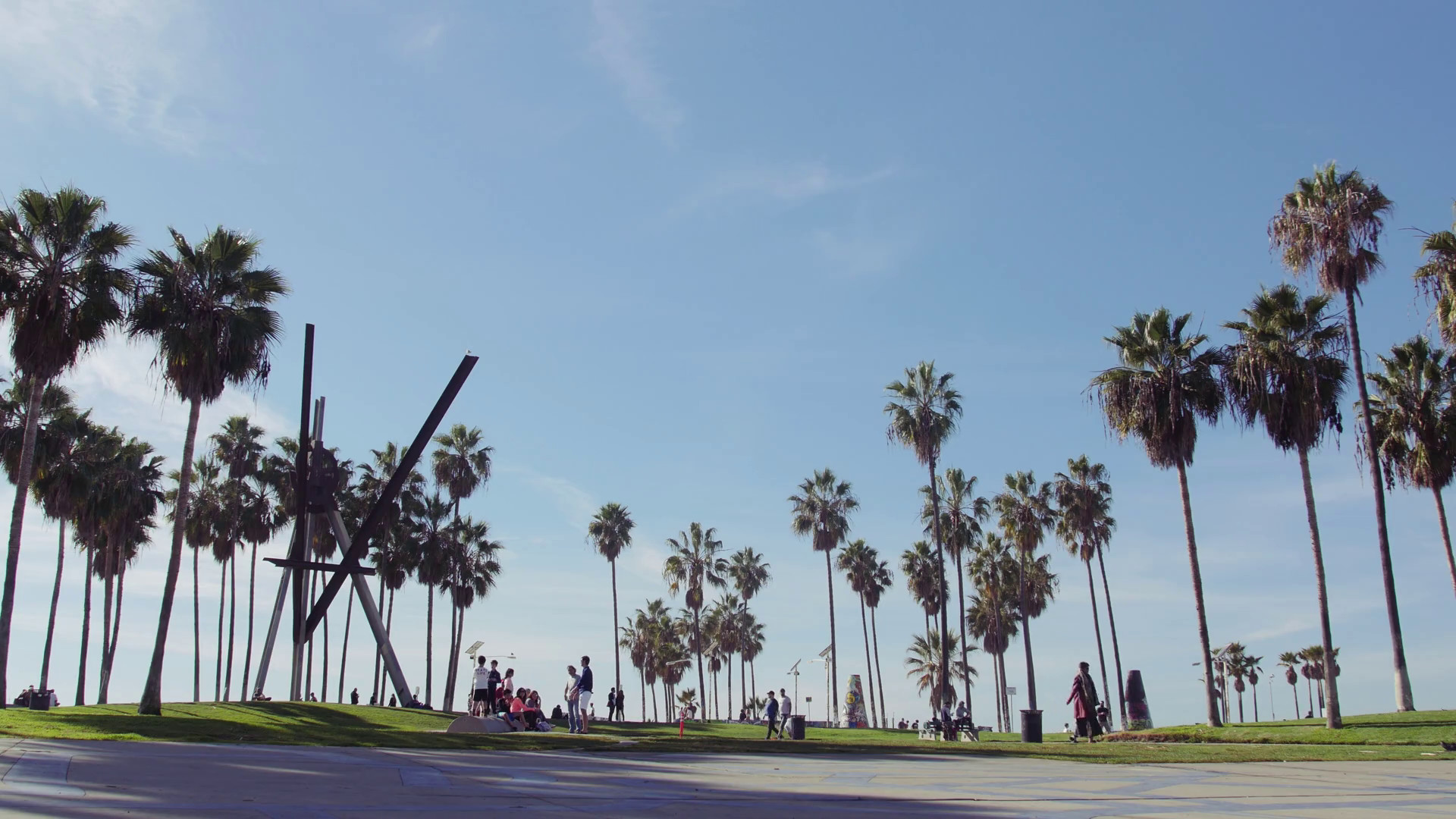 1920x1080 Venice Beach Palm Trees & Blue Sky Scenic, Los Angeles California Stock  Video Footage - Storyblocks Video