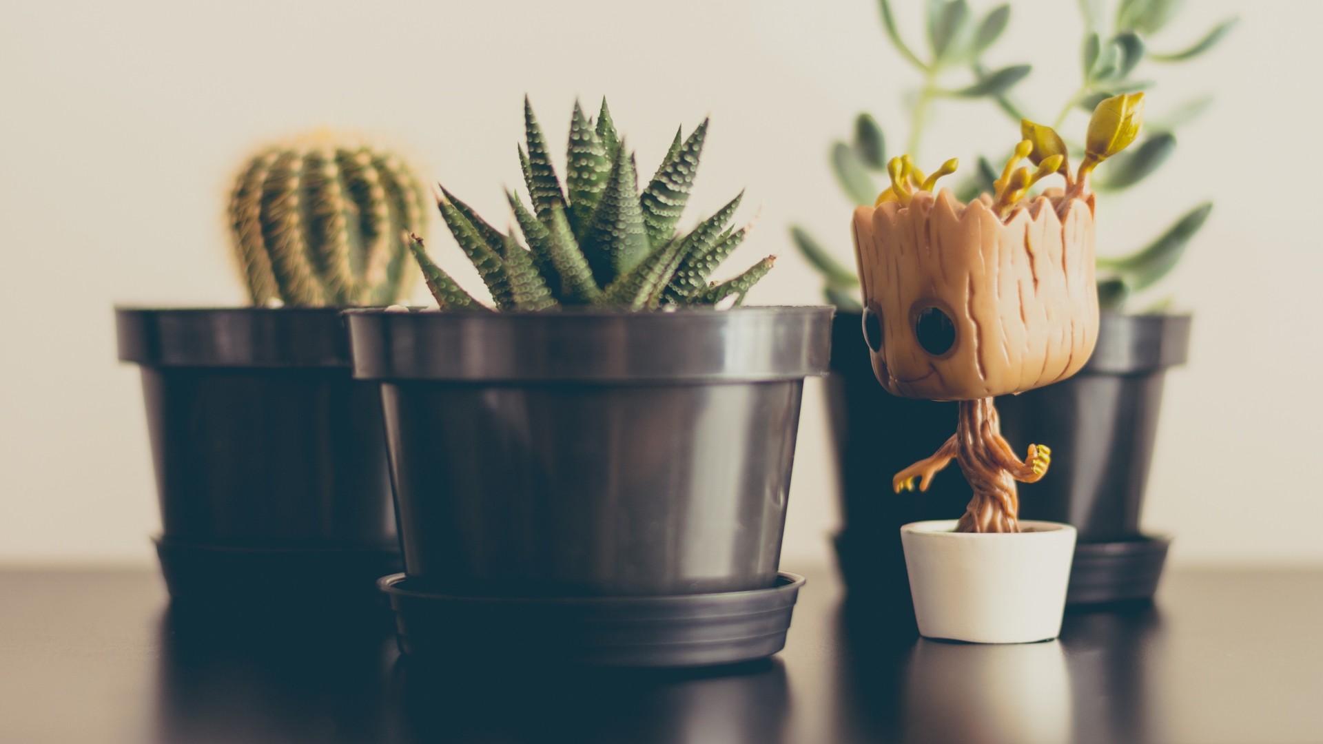 1920x1080 Preview wallpaper groot, baby, house plants 