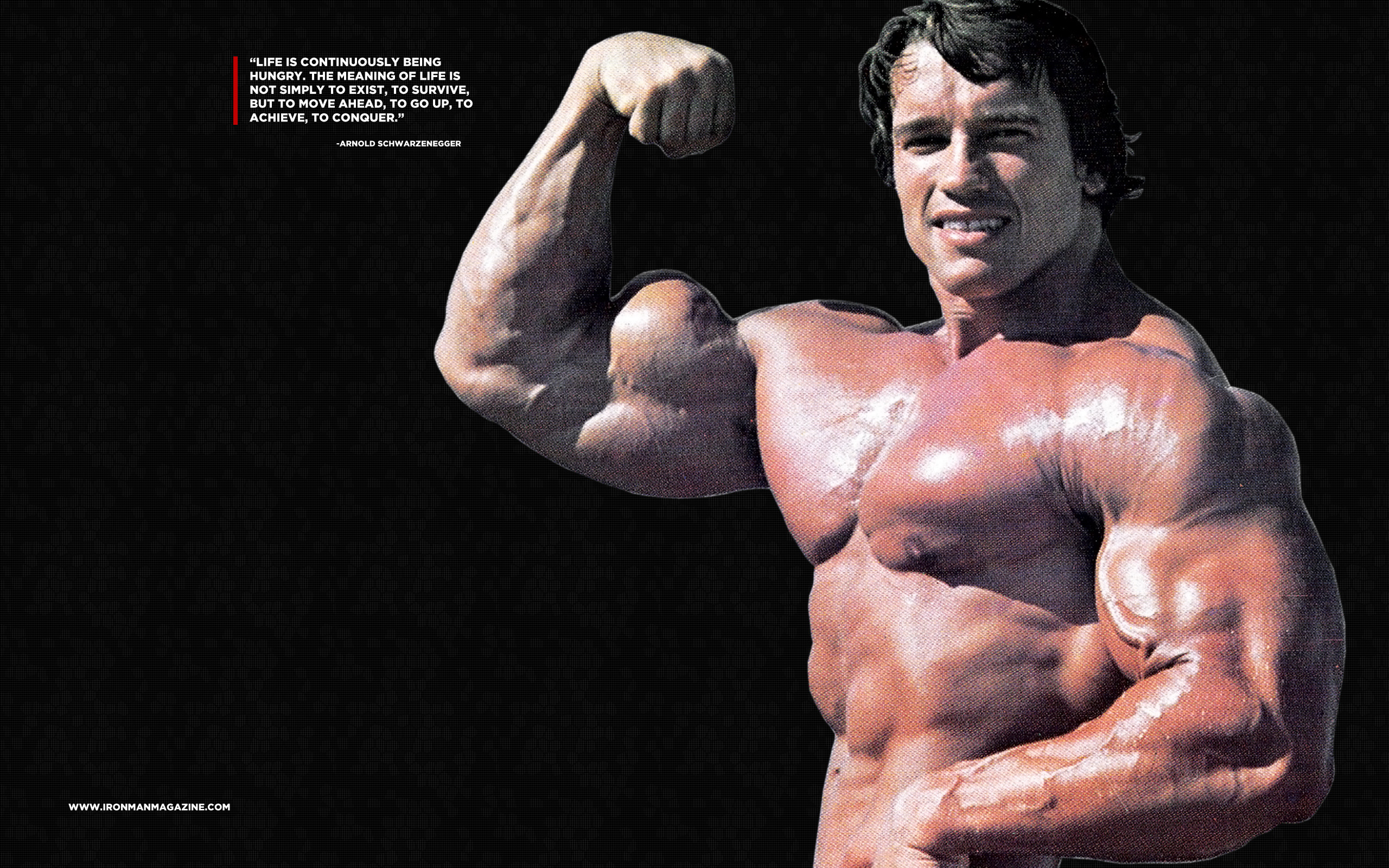 2560x1600 Arnold Schwarzenegger Desktop Wallpaper | Iron Man Magazine ...