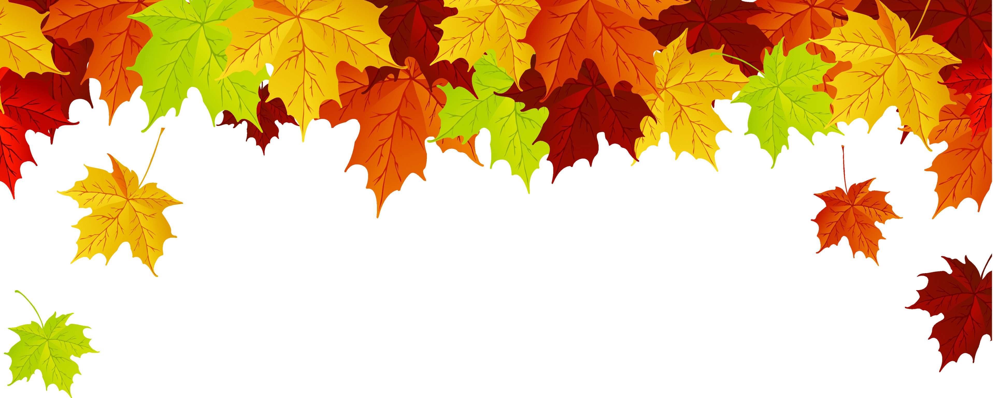 3833x1539 Fall Leaves Backgrounds Flowers Gallery 