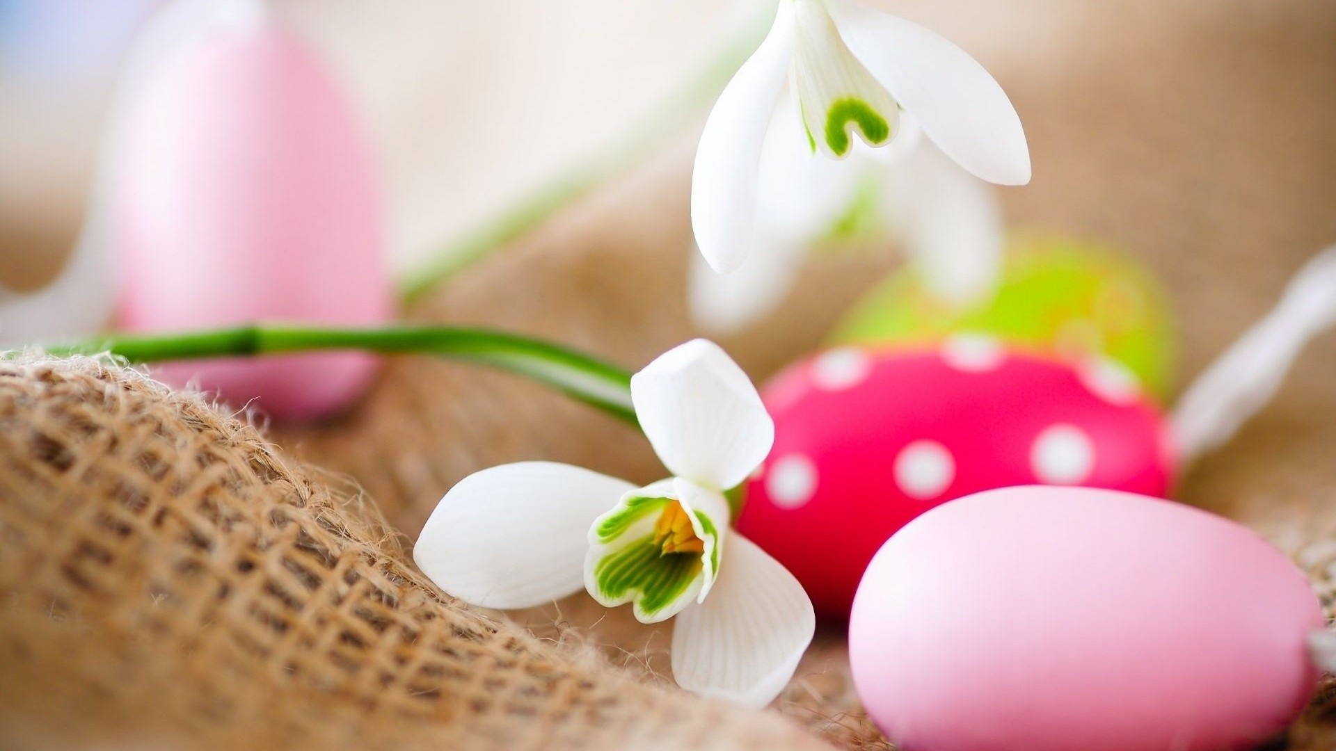 1920x1080 Happy Easter HD Wallpapers
