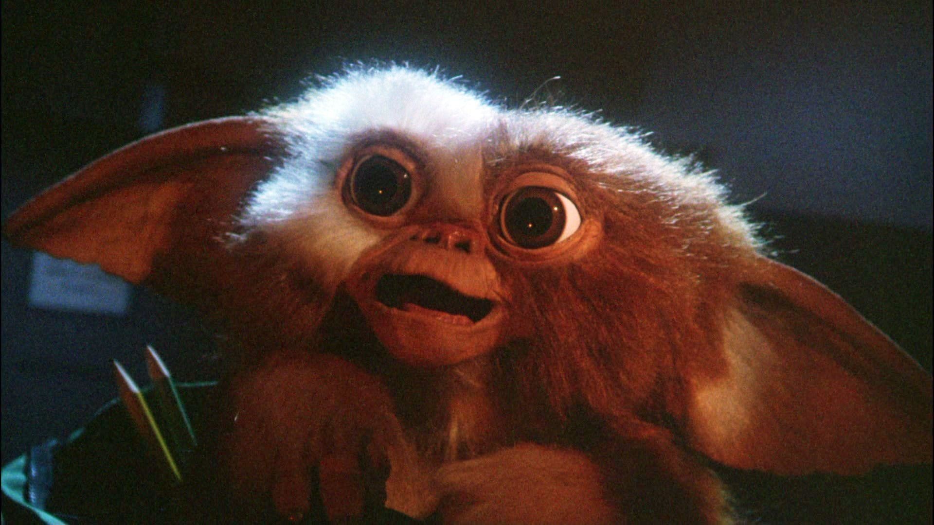 Gremlins Gizmo Wallpaper (72+ images)