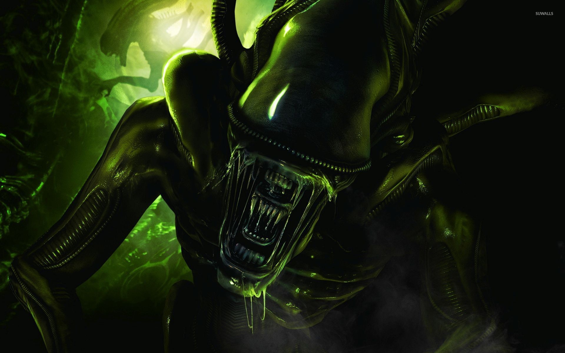 1920x1200 Scary green alien wallpaper