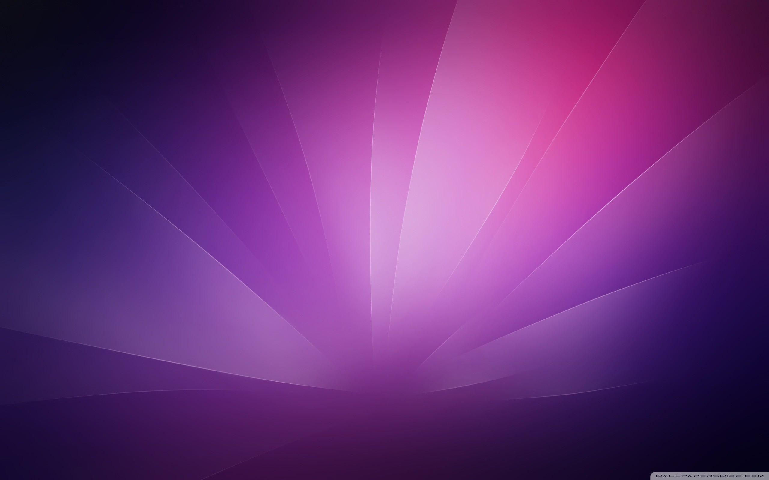 2560x1600 purple minimalist background 4k hd desktop wallpaper for 4k ultra rh  wallpaperswide com