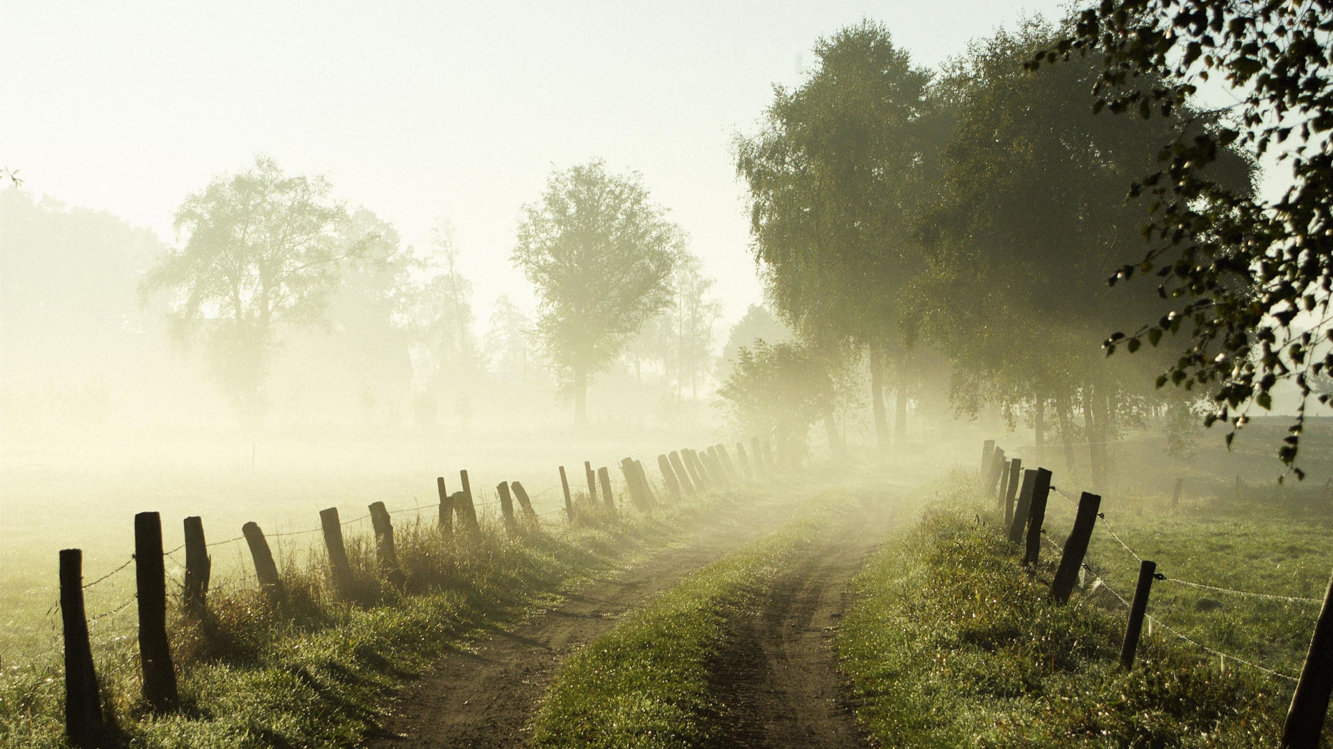 1920x1080 Foggy Country Road [] ...