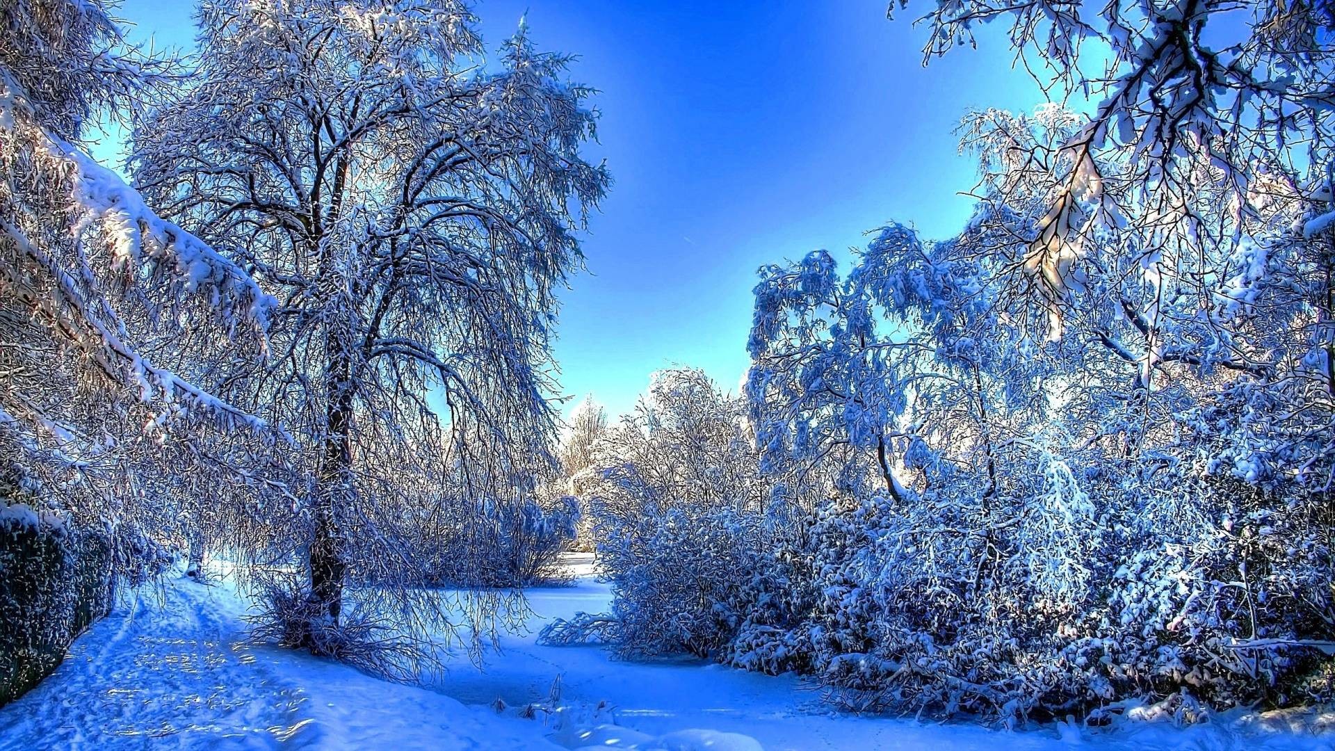 1920x1080 Blue Winter Full of Snow HD Wallpaper [1920 x 1080] ...