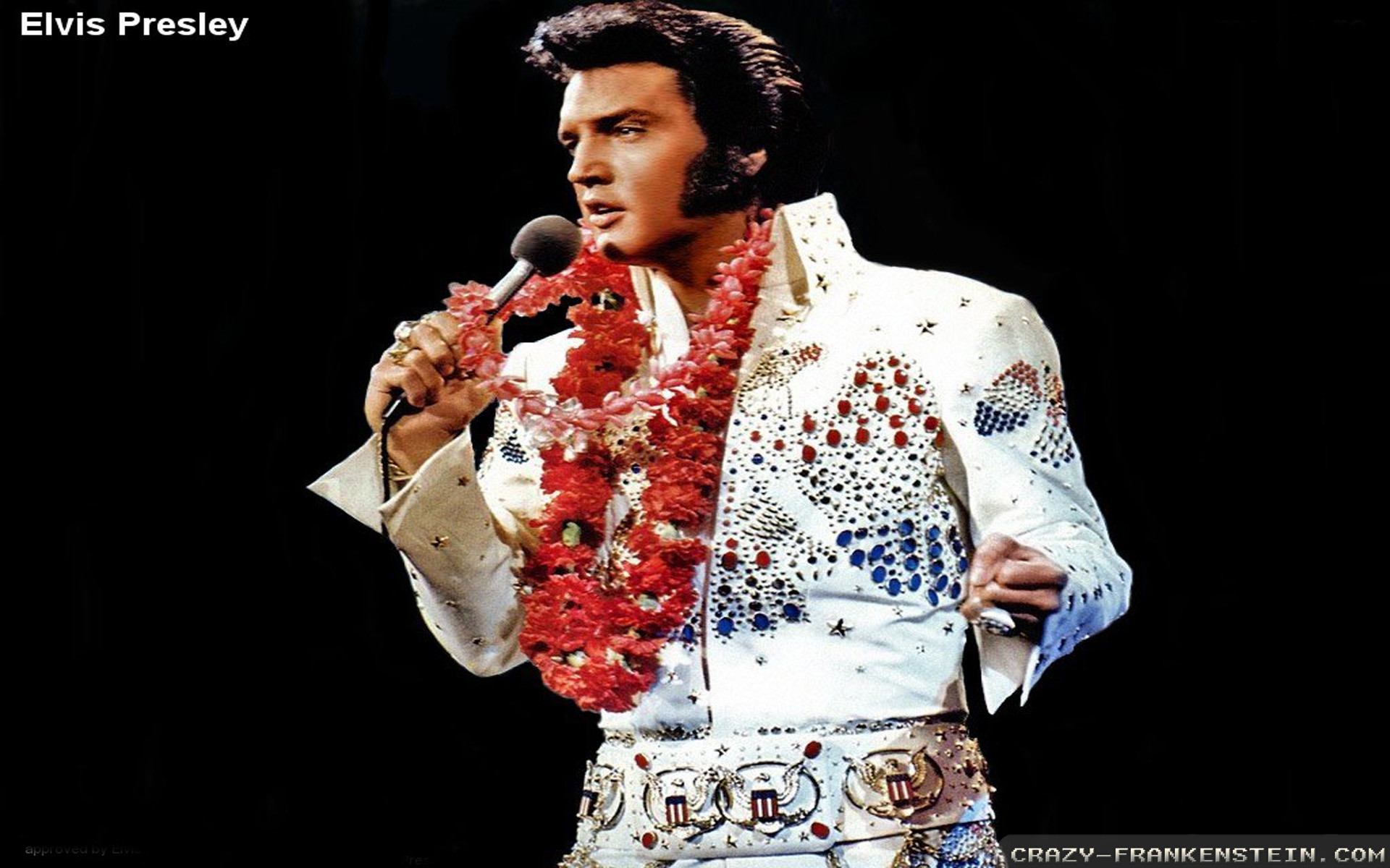 1920x1200 Wallpaper: Elvis Presley king wallpapers. Resolution: 1024x768 | 1280x1024  | 1600x1200. Widescreen Res: 1440x900 | 1680x1050 | 