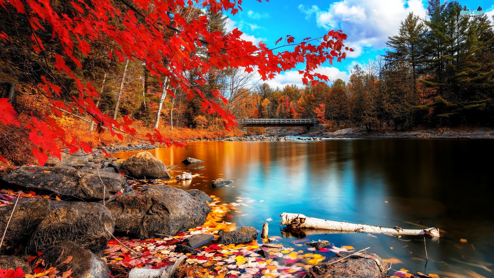 1920x1080 HD Lake Autumn Beauty