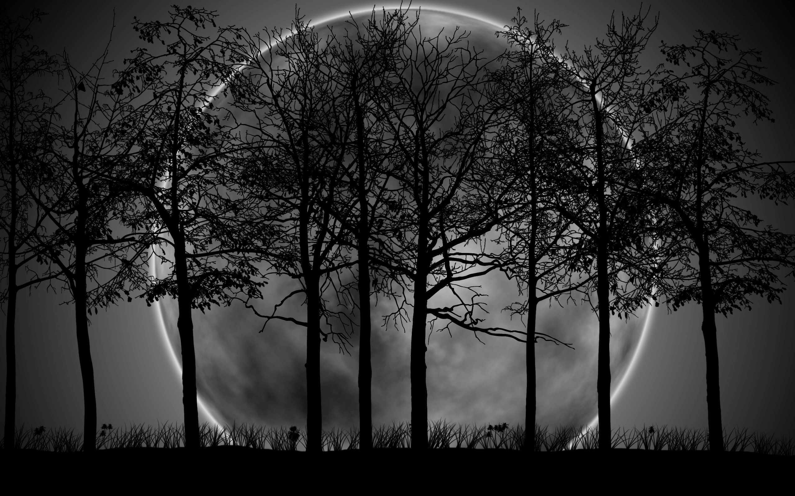 2560x1600 Dark Forest Moon Wallpaper