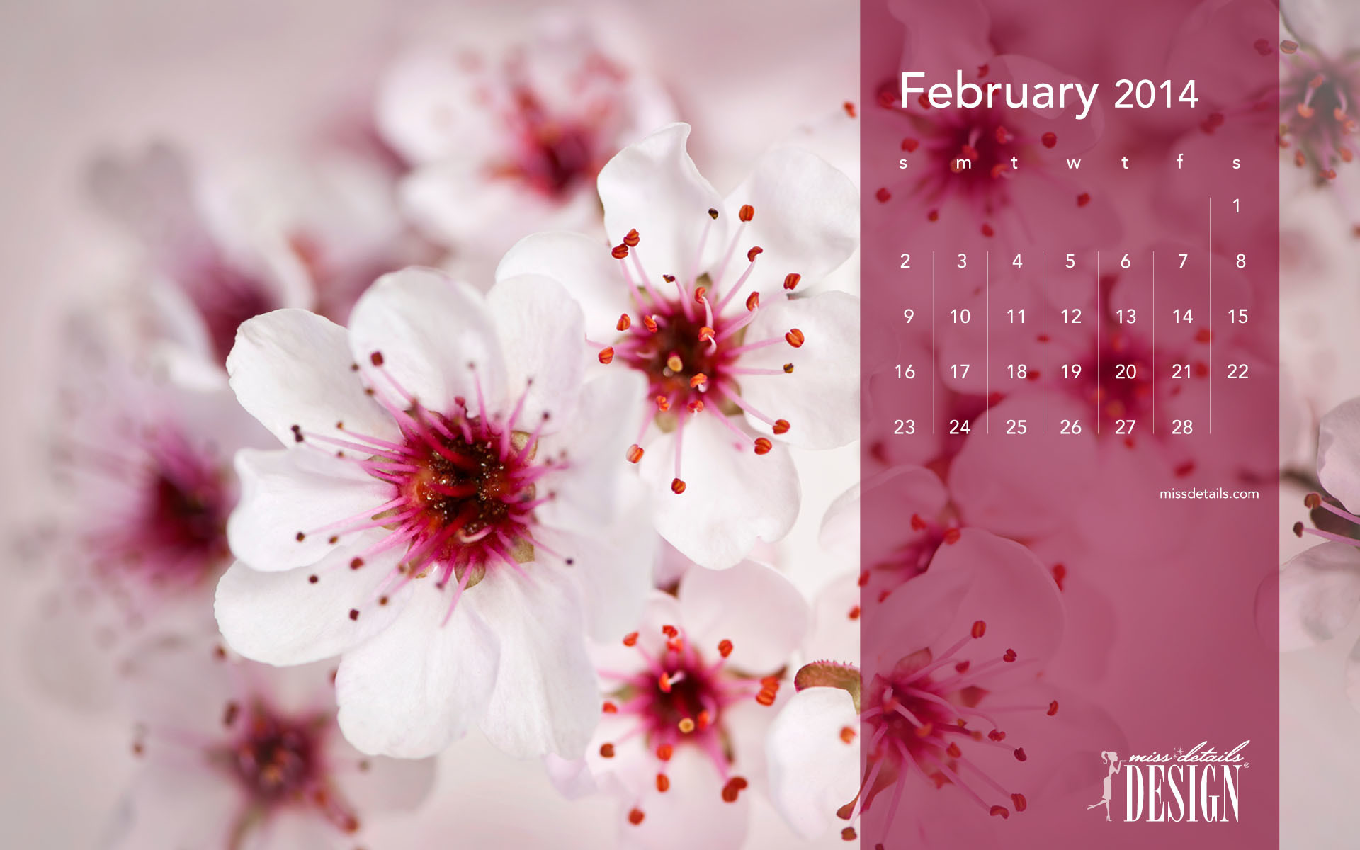 1920x1200 february-desktop-calendars-cherry-blossoms_.jpg