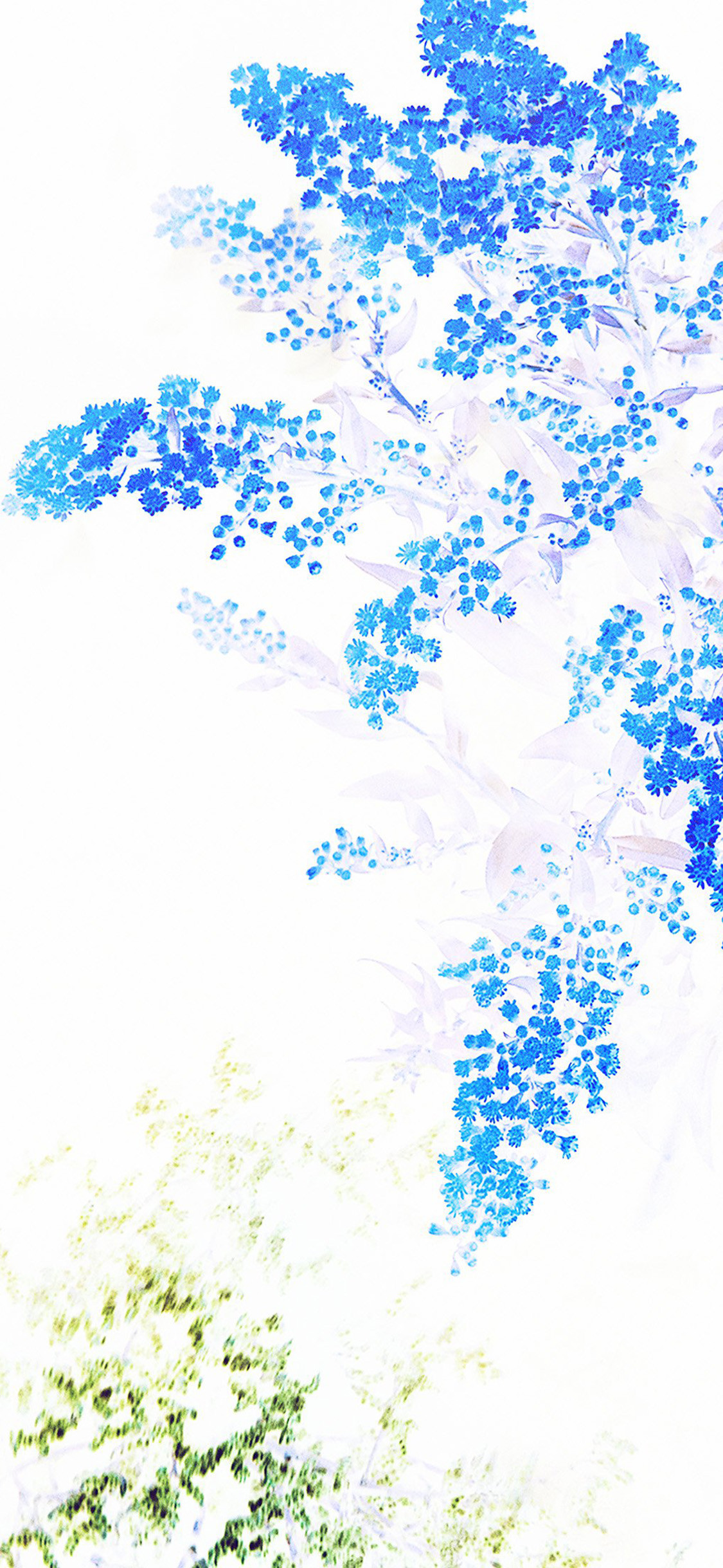 1125x2437 Apple blue and white flowers iPhone X Wallpaper