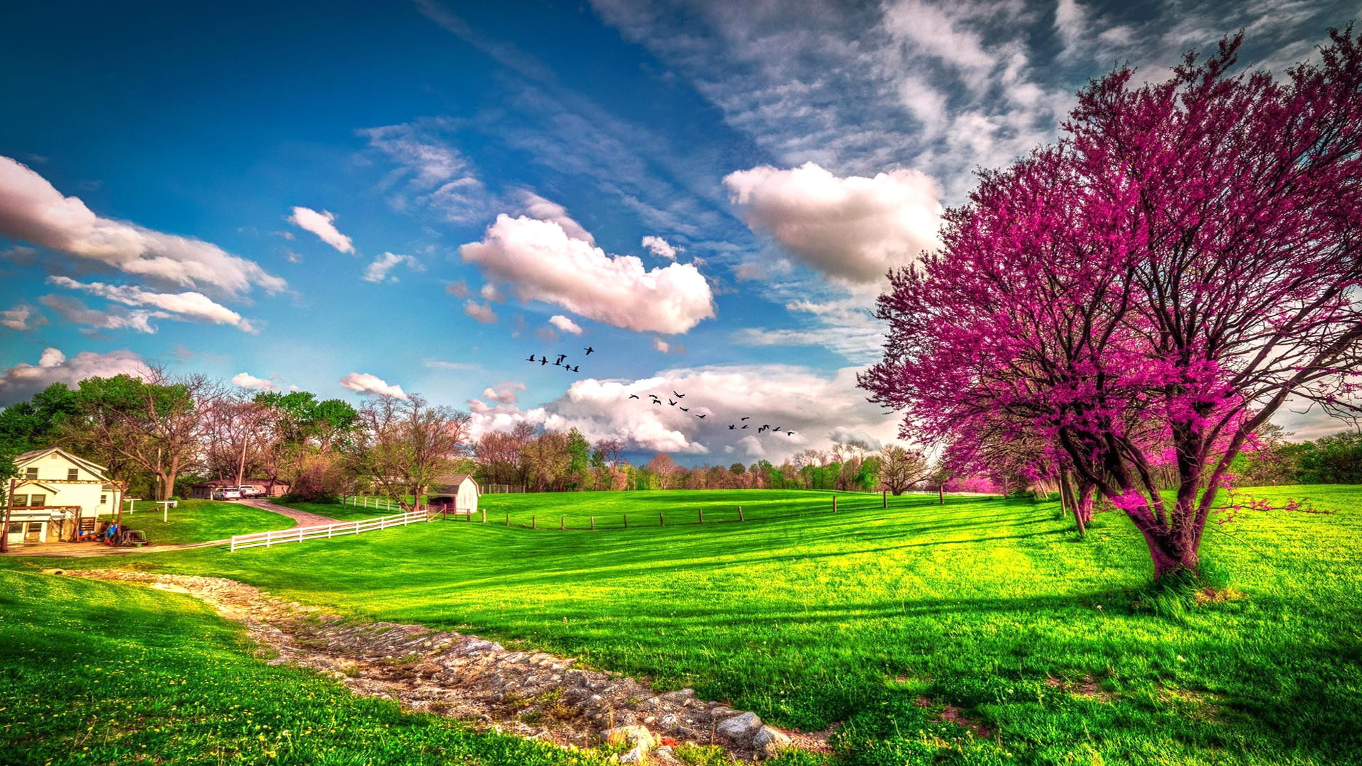 1920x1080 ... Wallpapers Page 1 beautiful spring scenery .