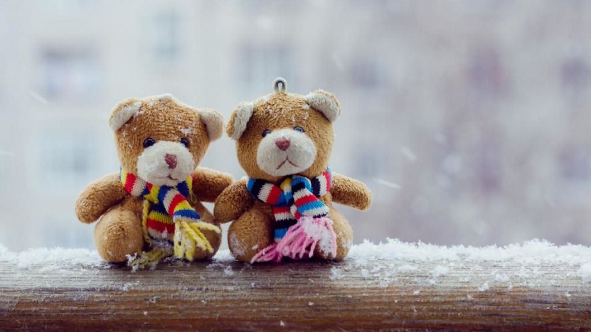 1920x1080 Lovely And Beautiful Teddy Bear Wallpapers ~ Allfreshwallpaper 