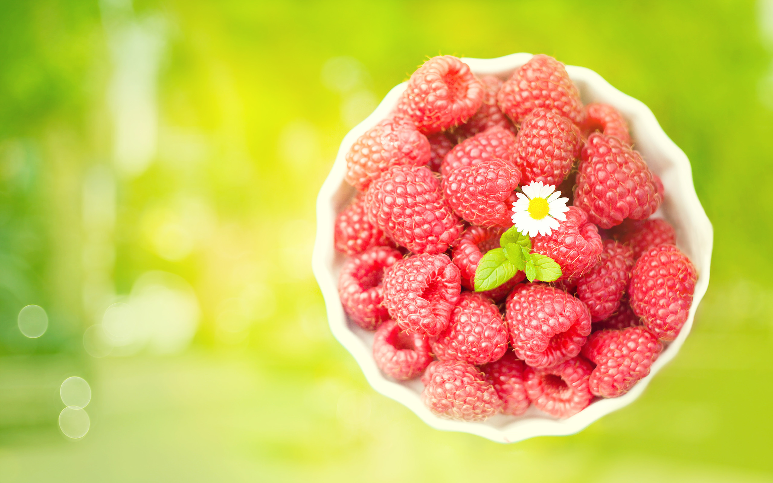 2560x1600 Cute Raspberries Wallpaper