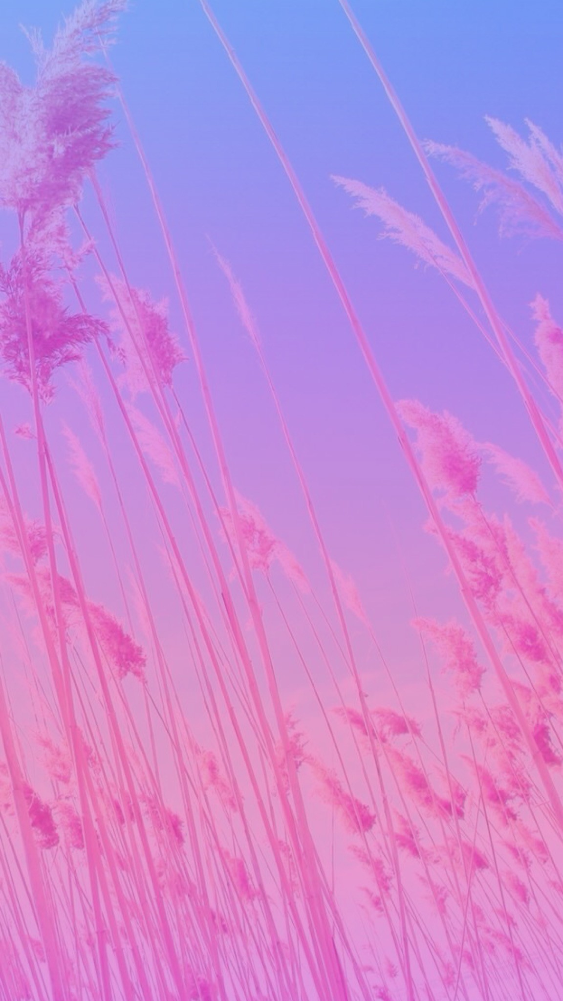 1152x2048 Wallpaper backgrounds Â· Original image not by me! I just made the  ombrÃ©/gradient. Pink,