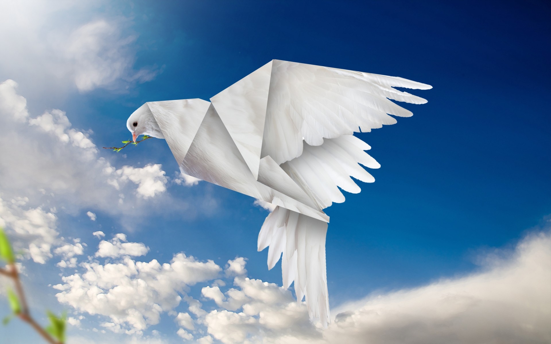 1920x1200 Origami Dove wallpapers and stock photos
