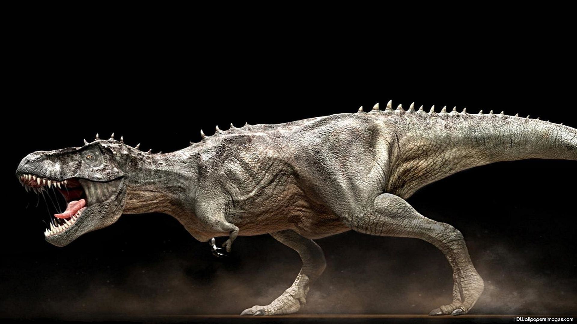 1920x1080 Dinosaurs Wallpaper | HD Wallpapers Images