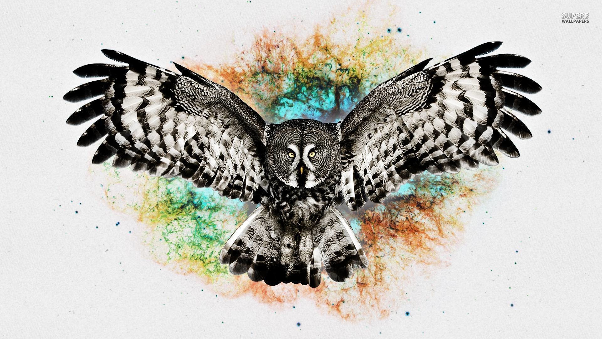 1920x1080 Owl wallpaper - Digital Art wallpapers - #
