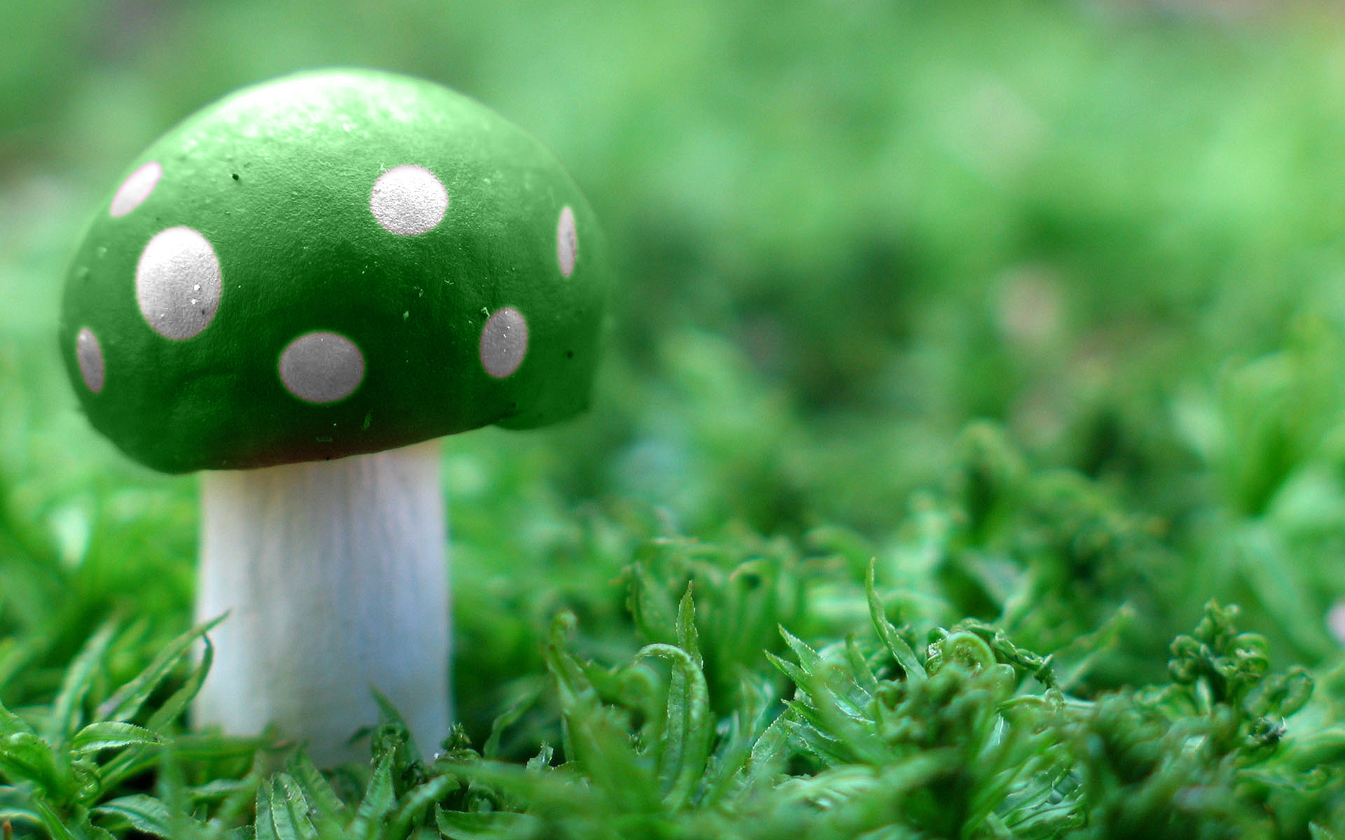 1920x1200 Green Mushroom Wide