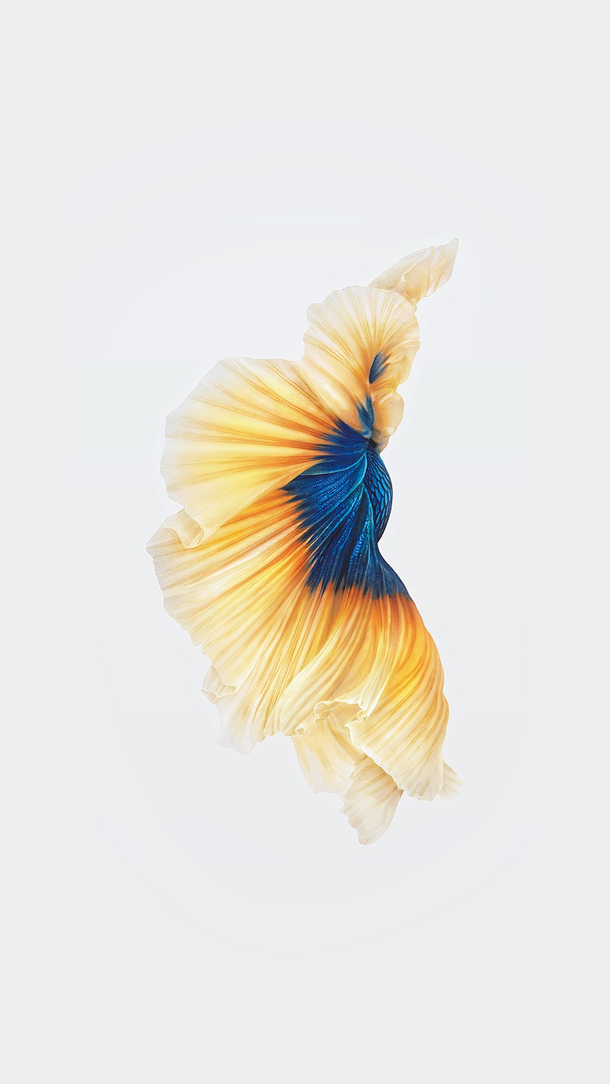 Live Wallpapers for iOS 9 (69+ images)