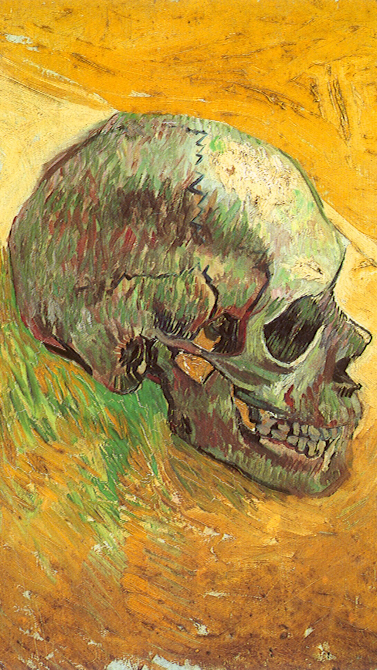 1242x2208 12 best Van Gogh images on Pinterest | Van gogh paintings, Iphone .