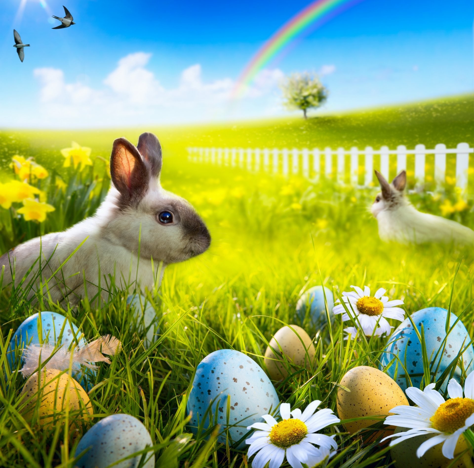 1920x1897 easter bunny rabbit spring sunshine meadow grass flowers eggs camomile  rainbow chamomile flower