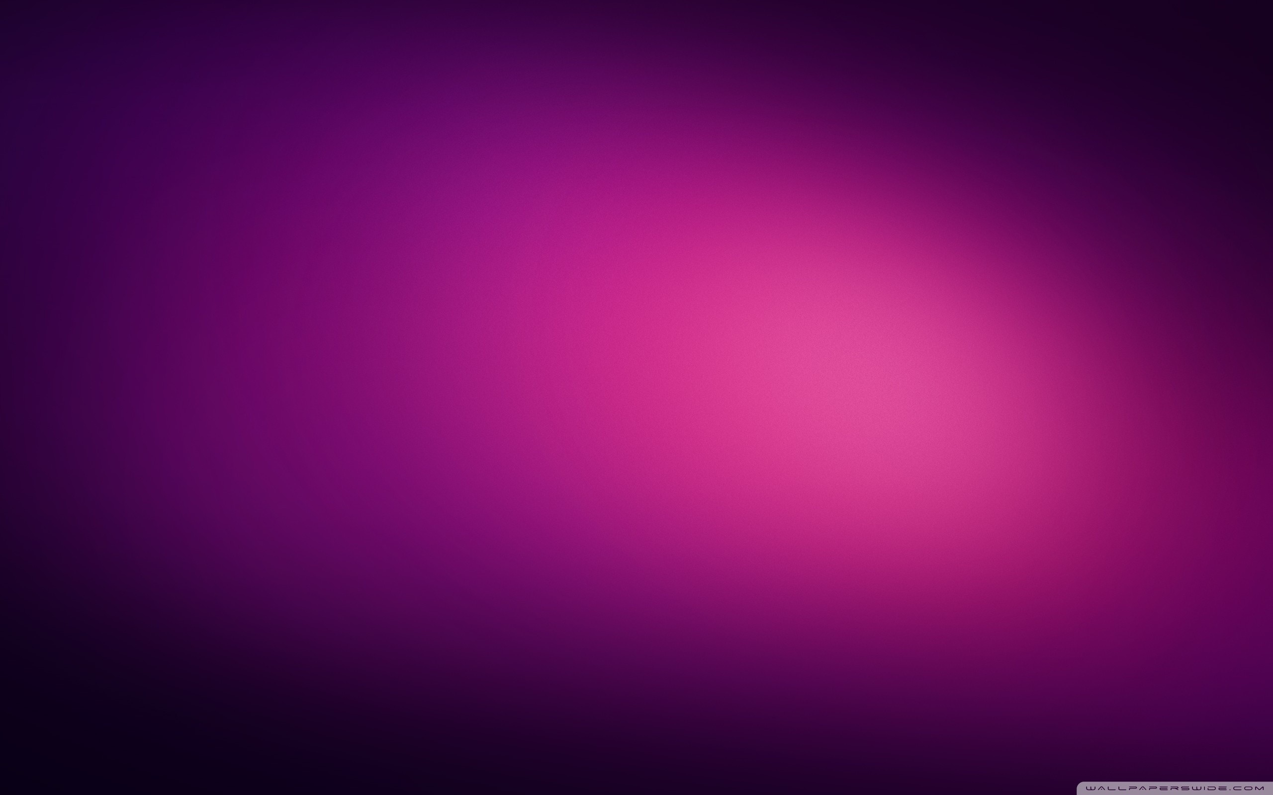 2560x1600 Violet Wallpaper