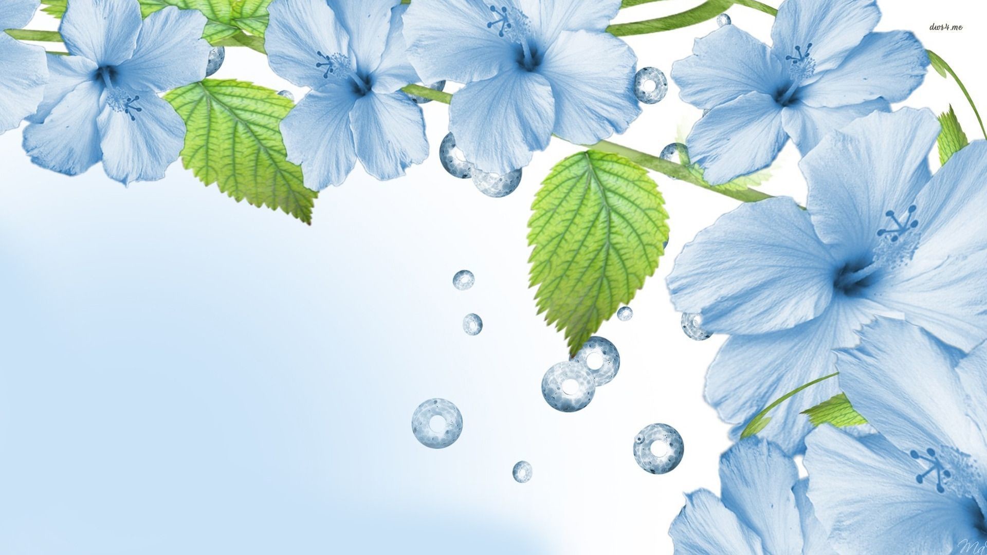 1920x1080 Blue Flowers Wallpapers Wallpaper Cave