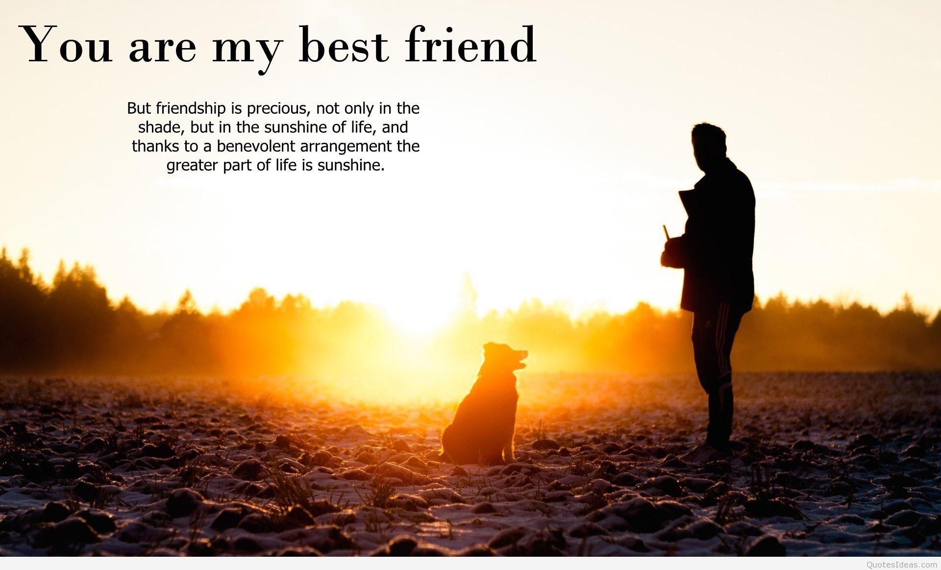 1920x1162 Best friends quotes and friendship quotes on wallpapers