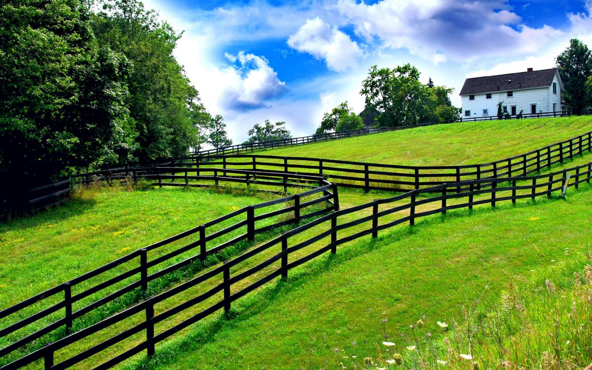 1920x1200 Summer Farm - 3D and Abstract Wallpapers | Best HD Wallpapers, Photos .