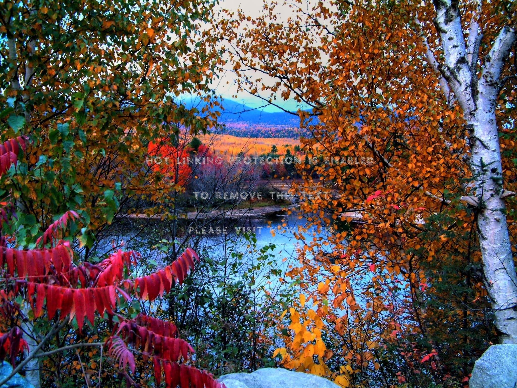 2048x1536 Landscapes Nature Trees Autumn Lakes Colorful Scenery 171617