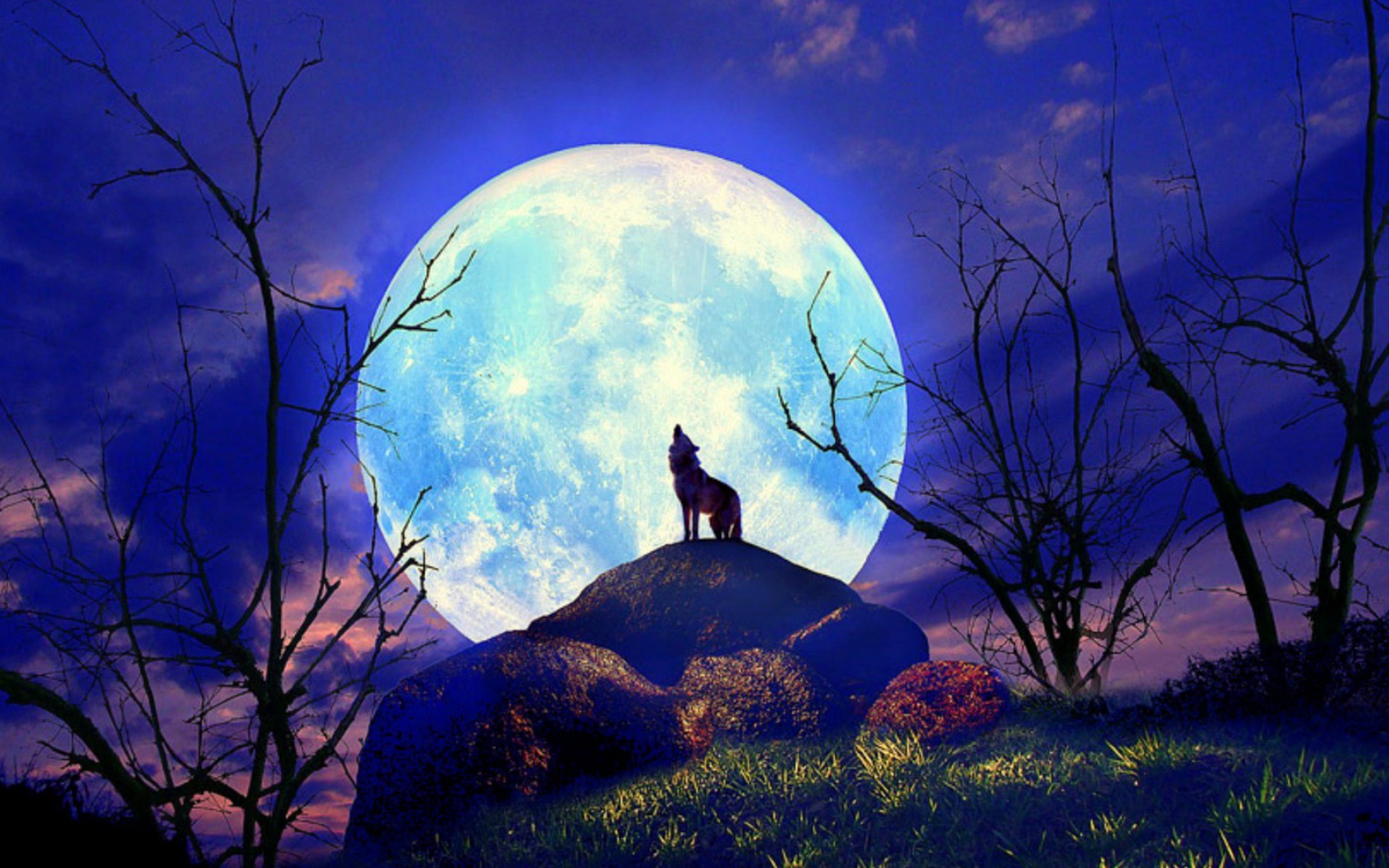 1920x1200 Wolf Nature Full Moon Yelp wallpapers | Wolf Nature Full .