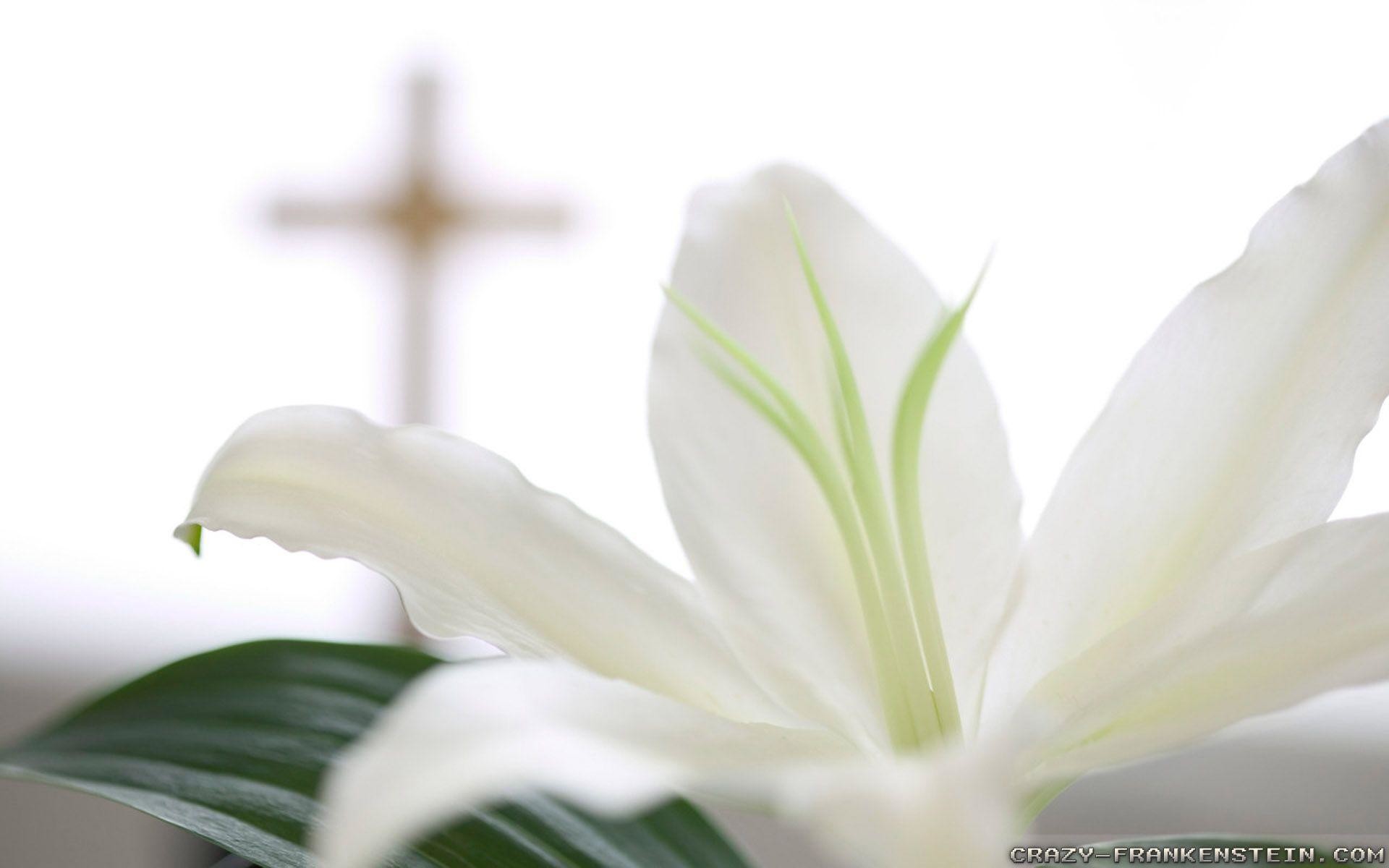 1920x1200 Religious Easter Wallpaper Background HD