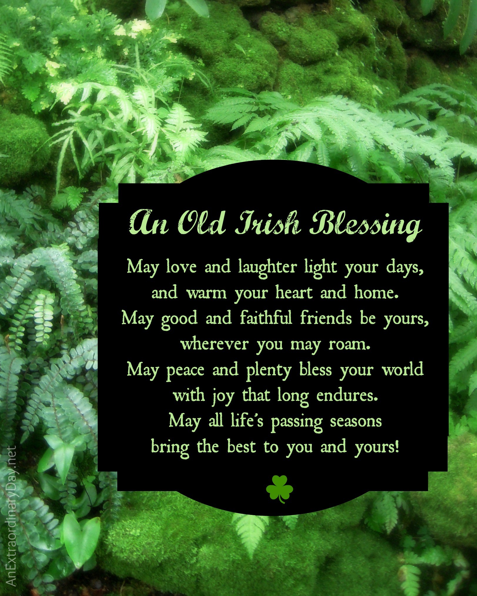 1623x2028 Old Irish Blessing - Free Printable - frame it, make it into a card, for  personal use only.