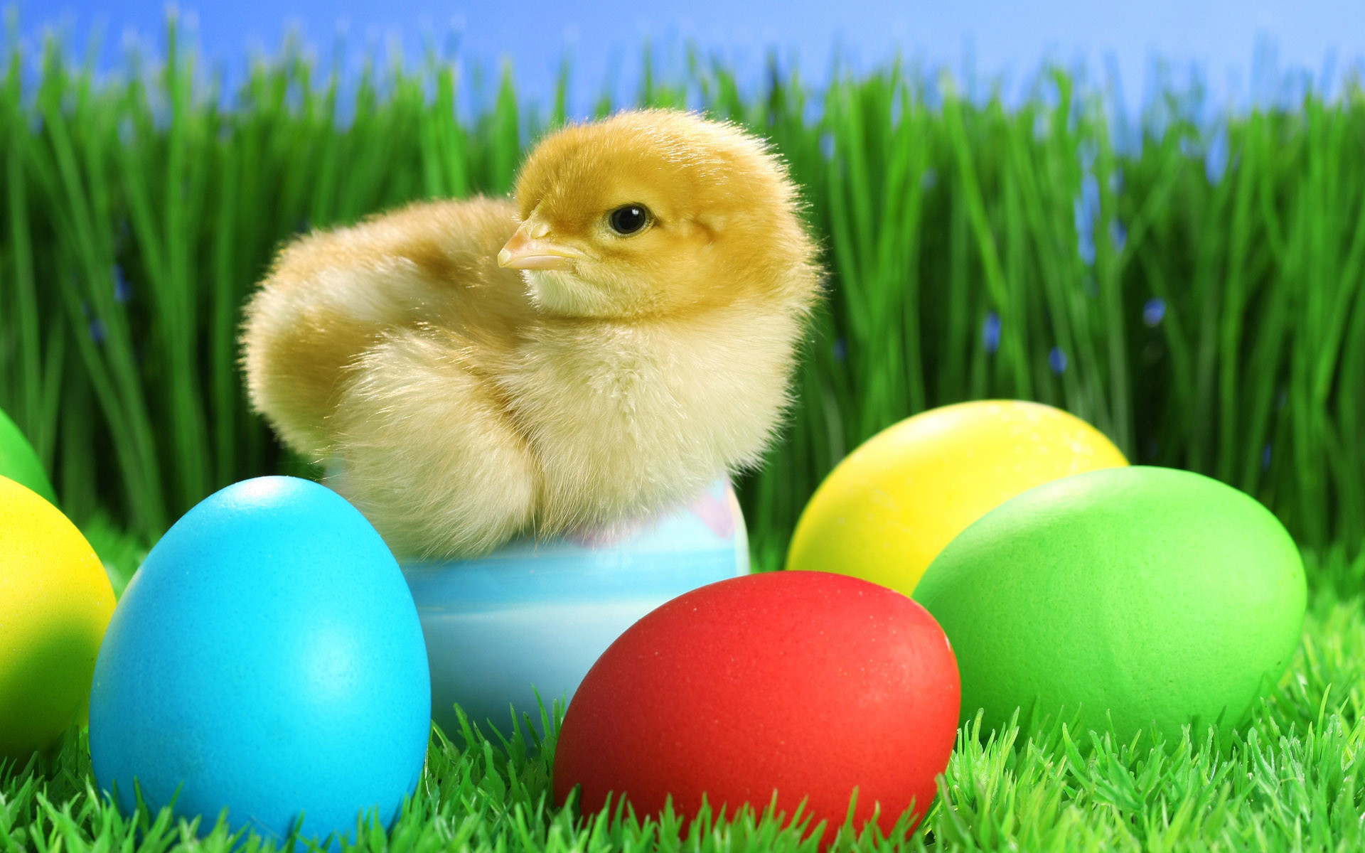 1920x1200 ... Cute Easter Wallpapers – Happy Easter 2017 ...