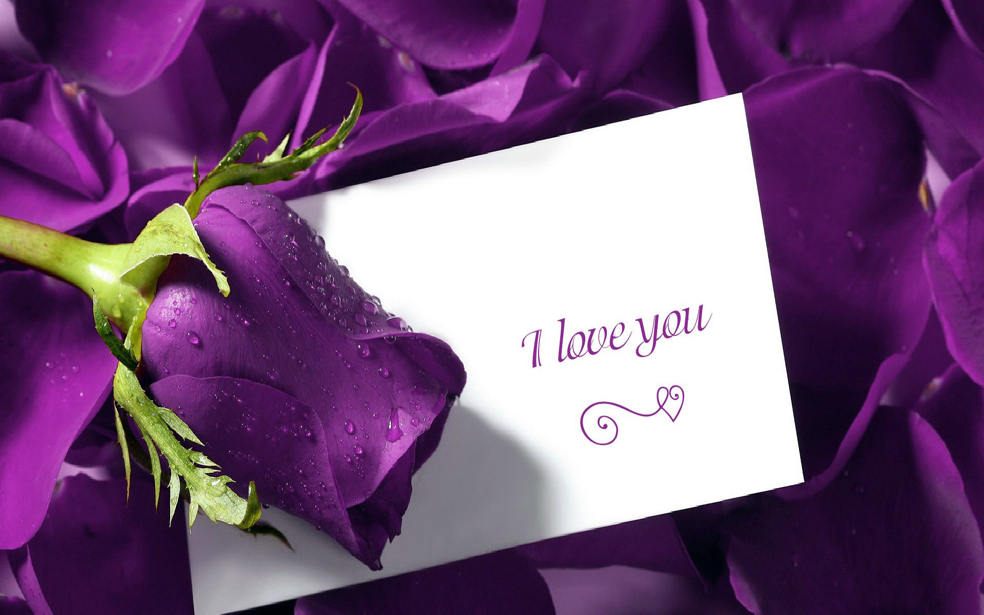 1920x1200 i love you cute images