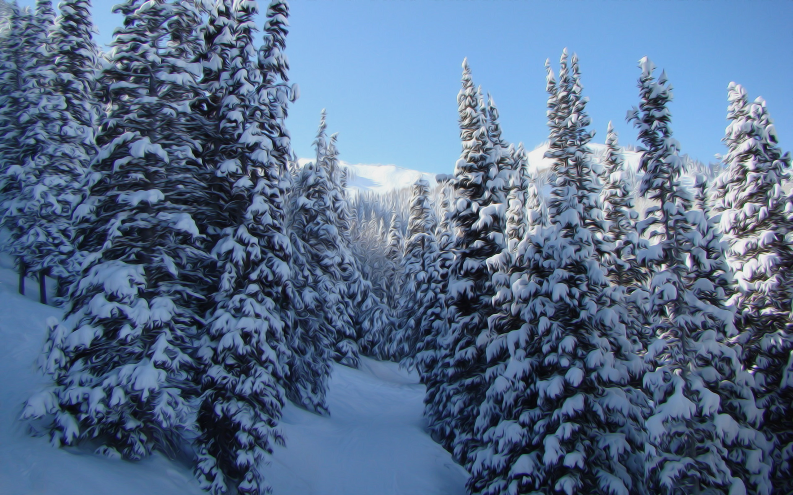 2560x1600 Winter Nature Snow Scene