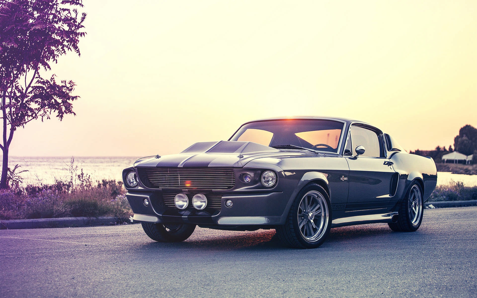 1920x1200 Classic Ford Mustang Wallpaper