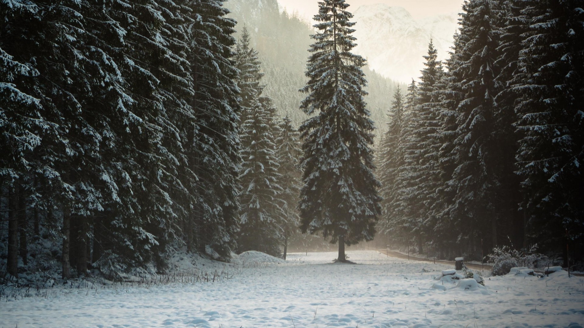 1920x1080  Wallpaper austria, tyrol, alps, mountains, forest, snow, winter