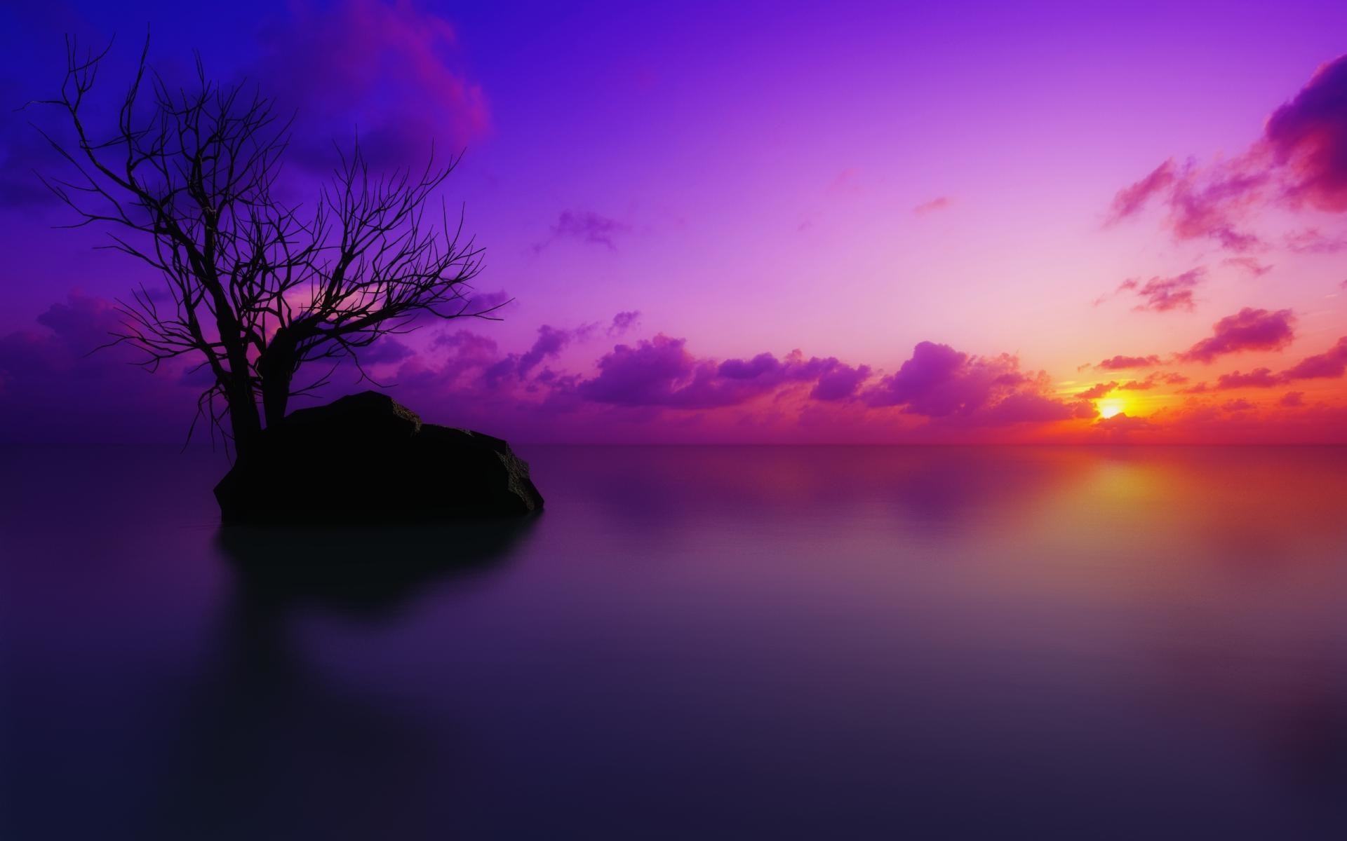 1920x1200 maldivian-sunset-scenic-horizon-purple-sky-nature- -  Magic4Walls.com
