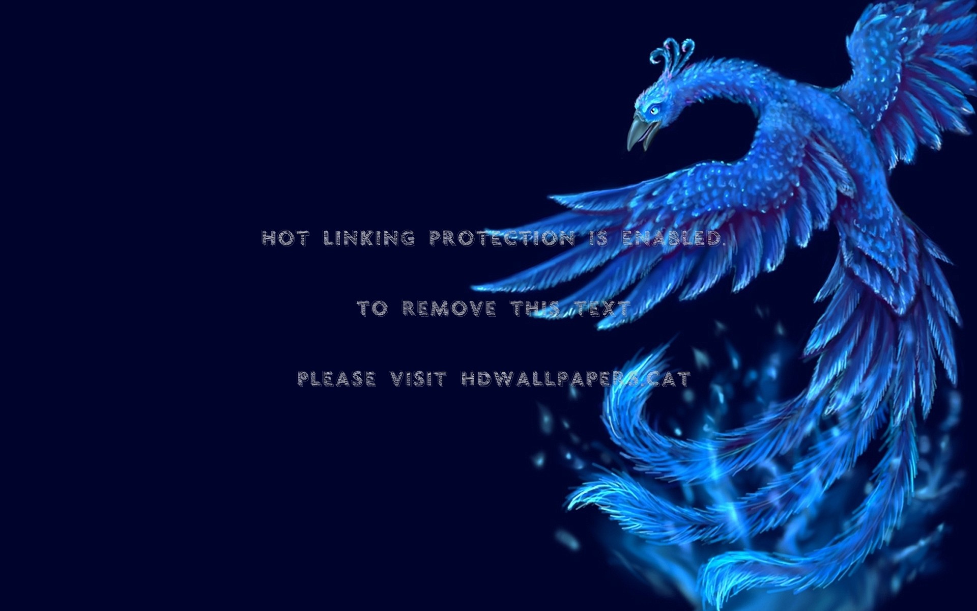 1920x1200 Wallpapers abstract fantasy blue phoenix pictures jpg  Wallpapers  abstract fantasy blue phoenix pictures