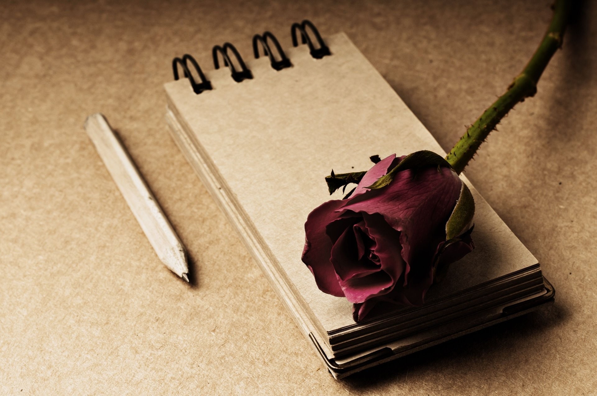 1920x1275 style notes notebook flower flower rose red pencil background widescreen  full screen widescreen hd wallpapers