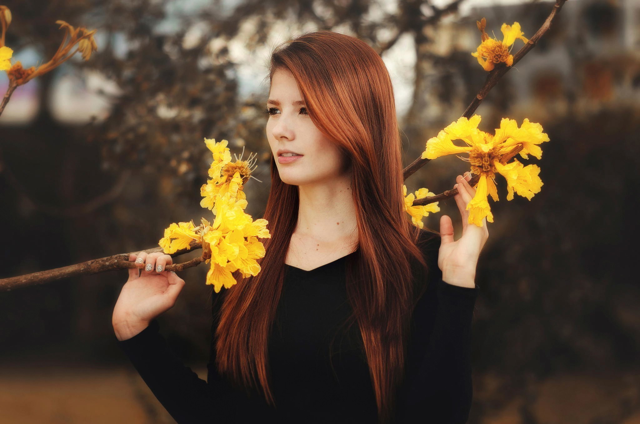 2048x1357 ... Hair, Model, Nature, Trees, Forest, Redhead, Spring .