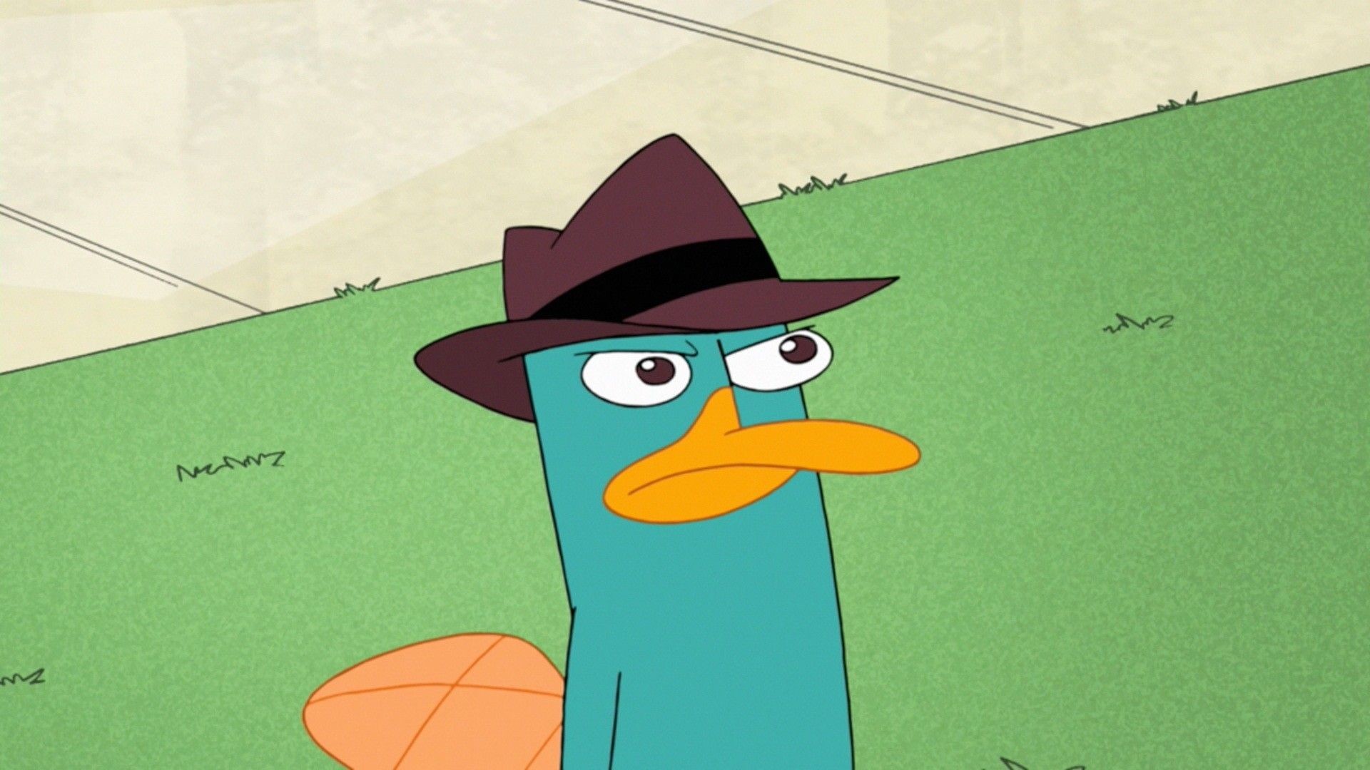 Perry The Platypus Wallpaper.