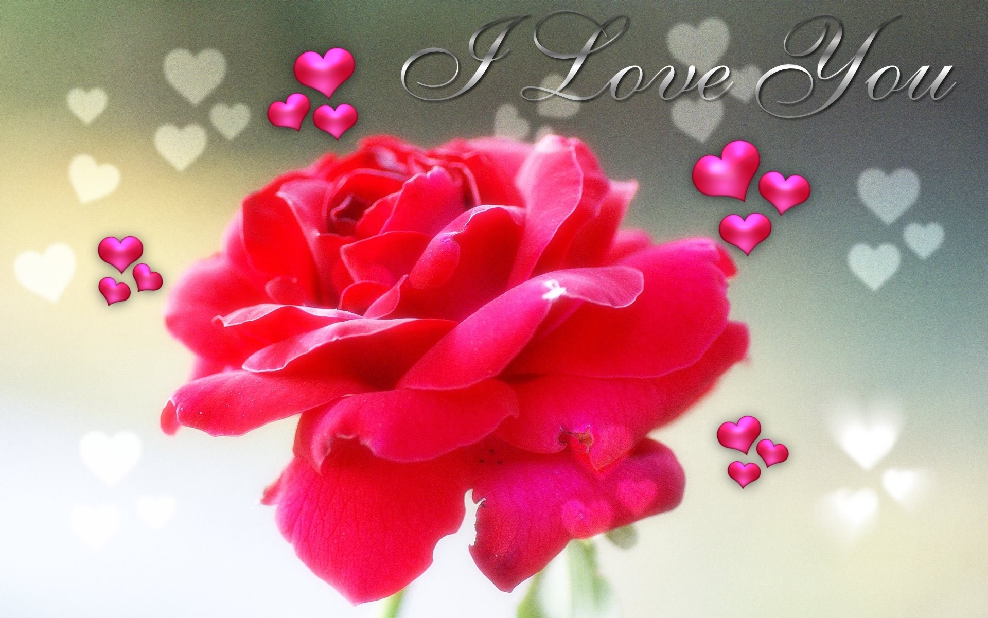 1920x1201 I Love You Rose Wallpaper Hoontoidly Rose Love Images