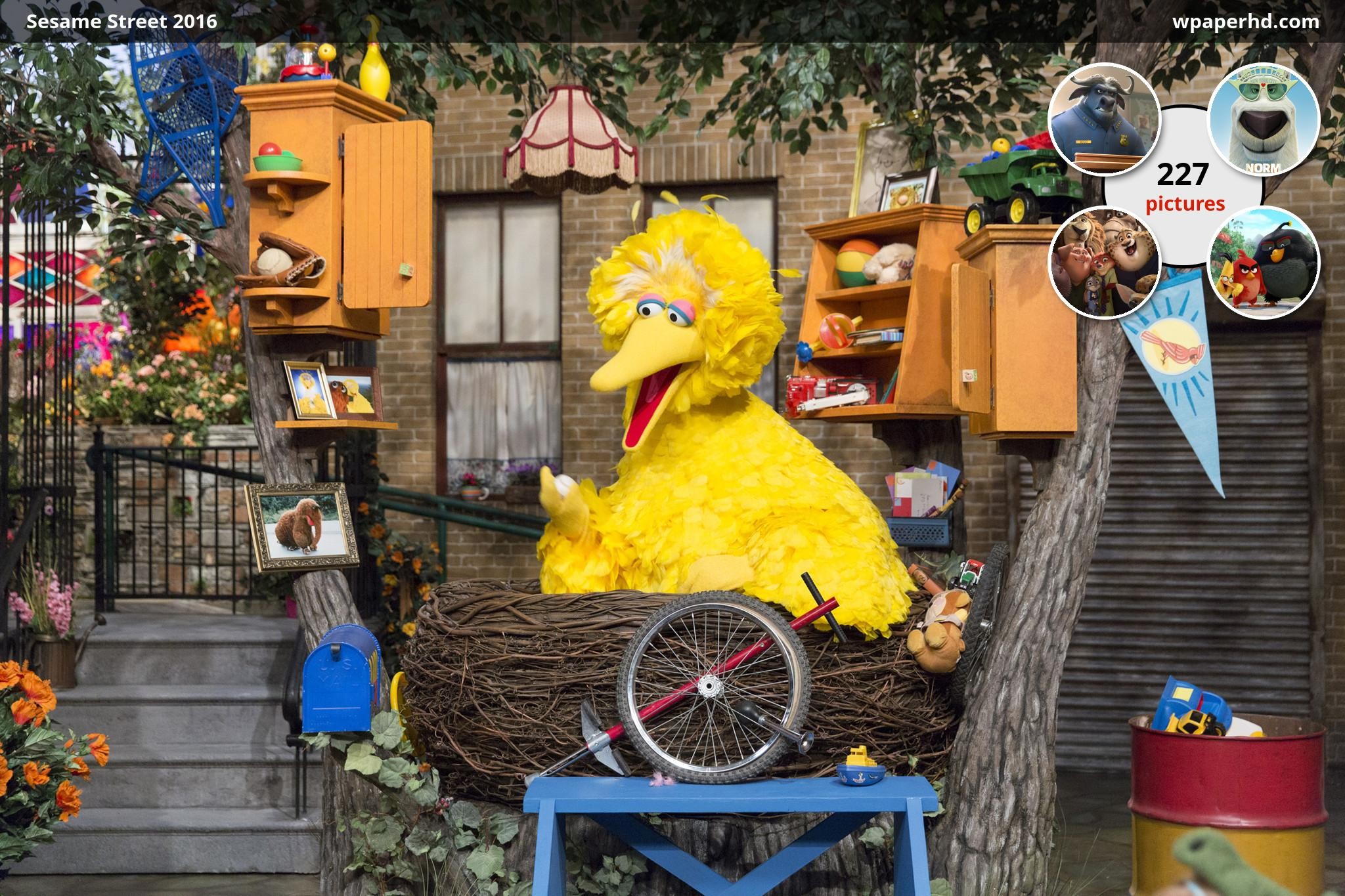 2048x1365 You are on page with Sesame Street 2016 wallpaper, where you can download  this picture in Original size and ...